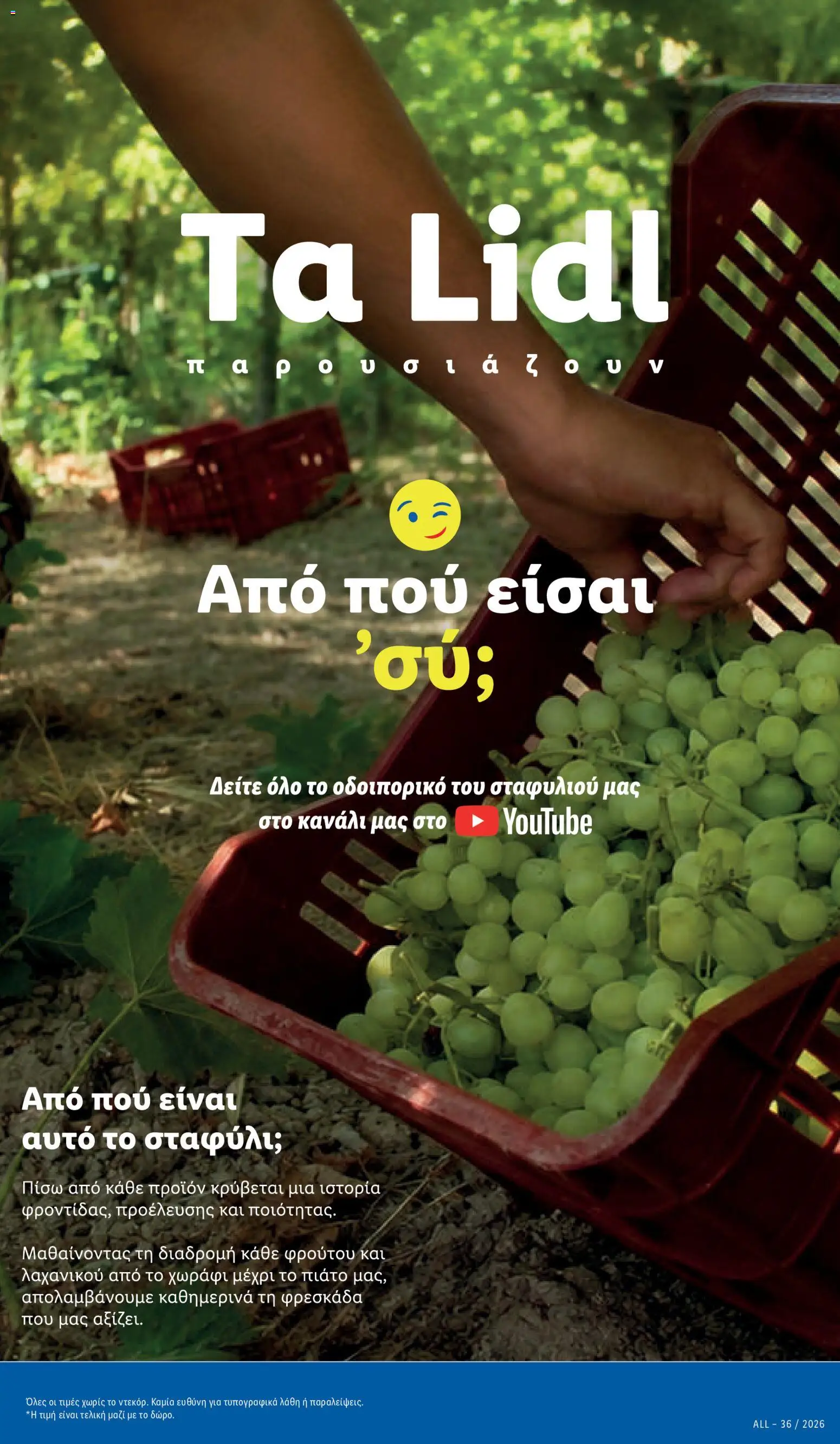 Lidl Φυλλάδιο - σε ισχύ από 08/10/2026 | Σελίδα: 7