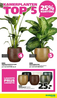 Ranzijn folder - Voorbeeld van een folder van Ranzijn, geldig van 05-10-2026 | Pagina: 3 | Producten: Pot, Kamerplanten
