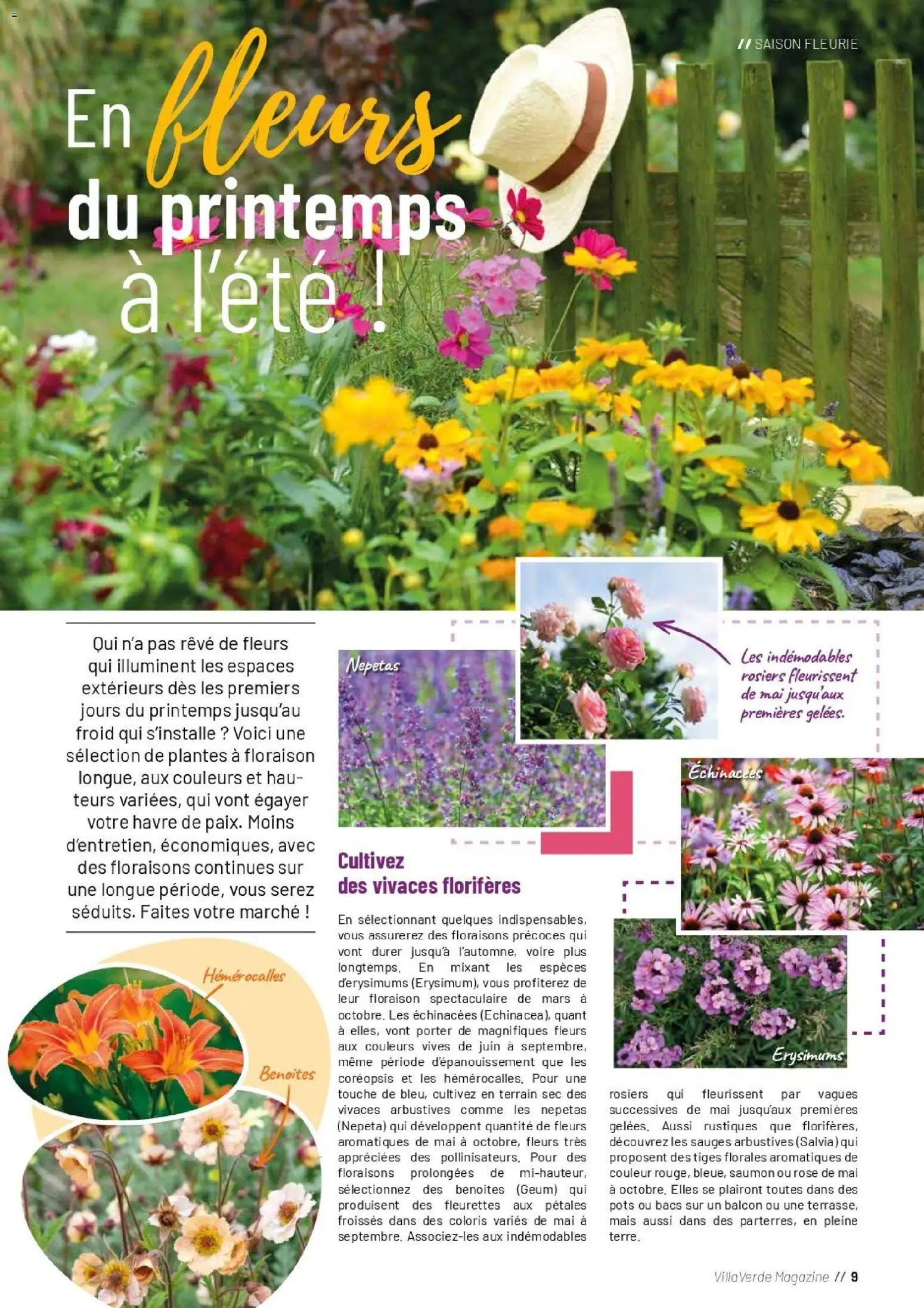 {H1} | Page: 9 | Produits: Plantes, Mais, Saumon, Magazine