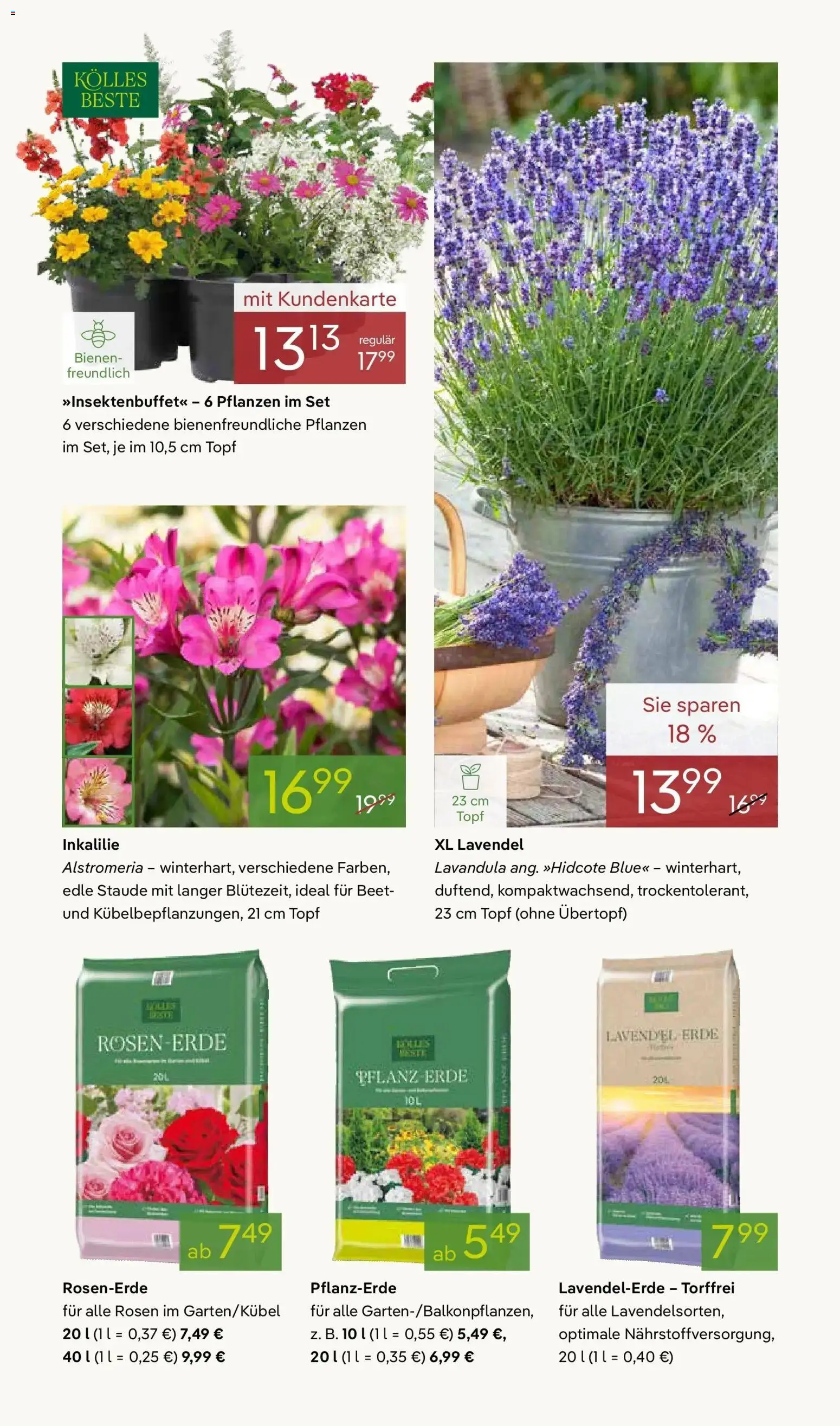 Pflanzen-Kölle - Pflanzen-Kölle: Gärtnern & Genießen – gültig ab 10.05.2026 | Seite: 3 | Produkte: Pflanzerde, Lavendel