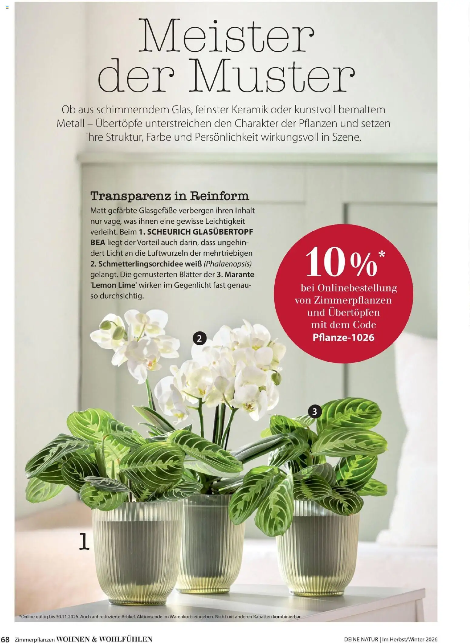 Dehner Magazine HERBST/WINTER 2026 gültig ab 09.10.2026 | Seite: 68