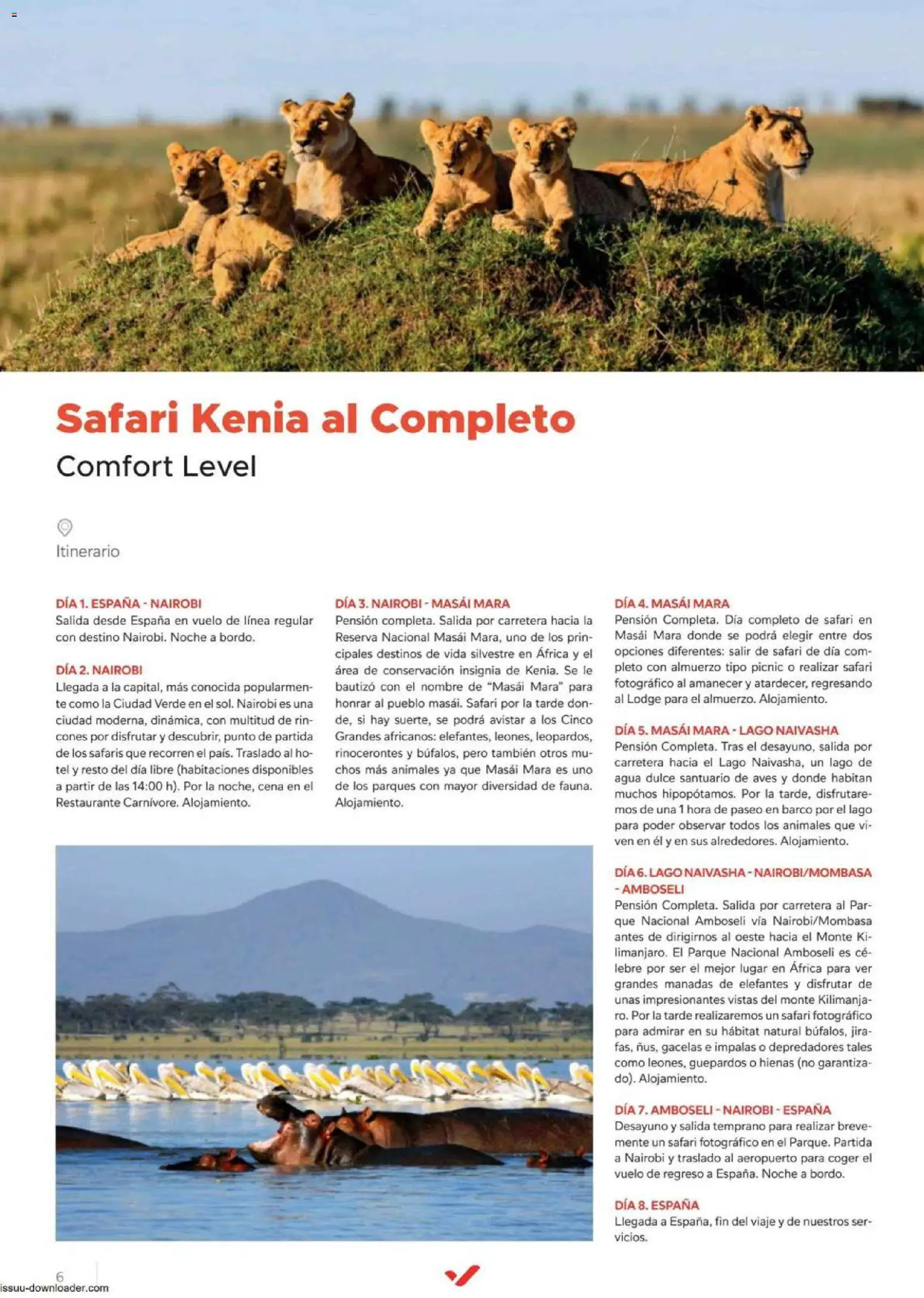 Halcón Viajes Comfort level 2026 │ válido desde el 04.06.2026 | Página: 6 | Productos: Té