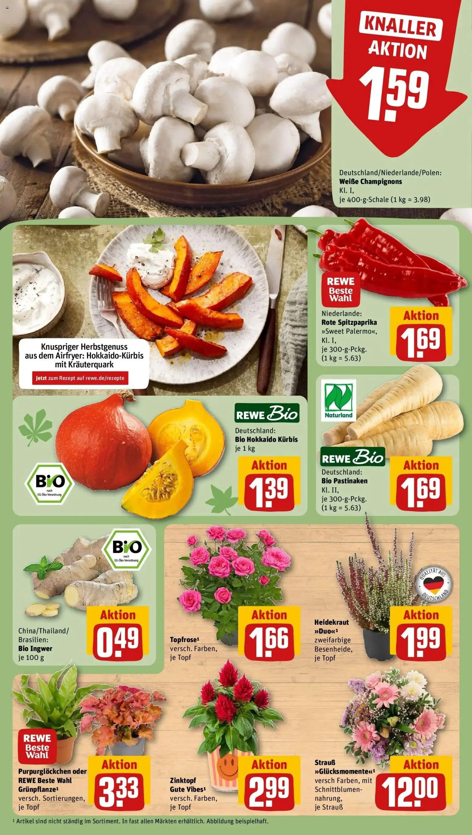 REWE Prospekt ab 28.09.2026 zum Blättern » Angebote | Seite: 13 | Produkte: Champignons, Kürbis