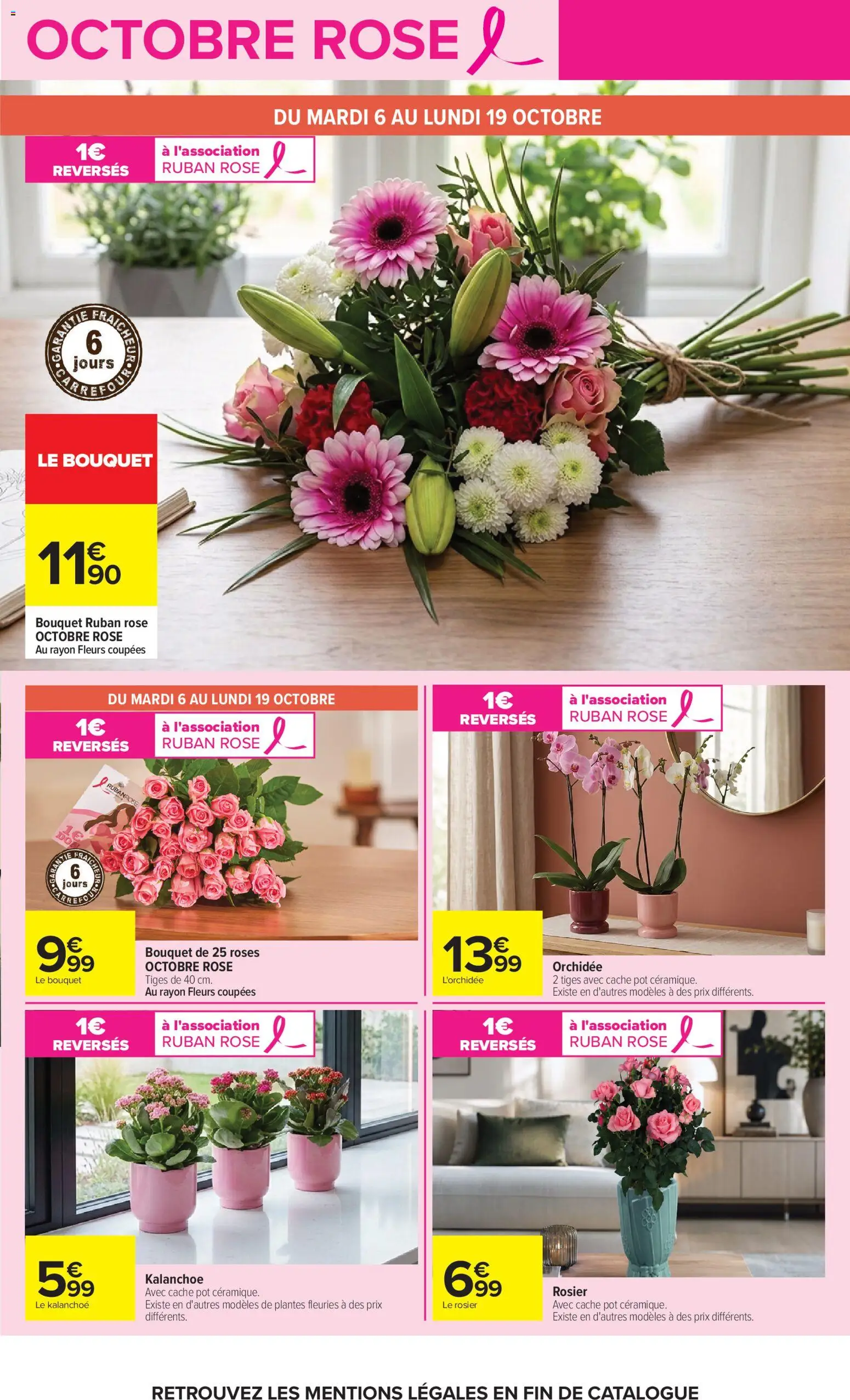 {H1} | Page: 5 | Produits: L'orchidée, Rosier, Plantes, Orchidée