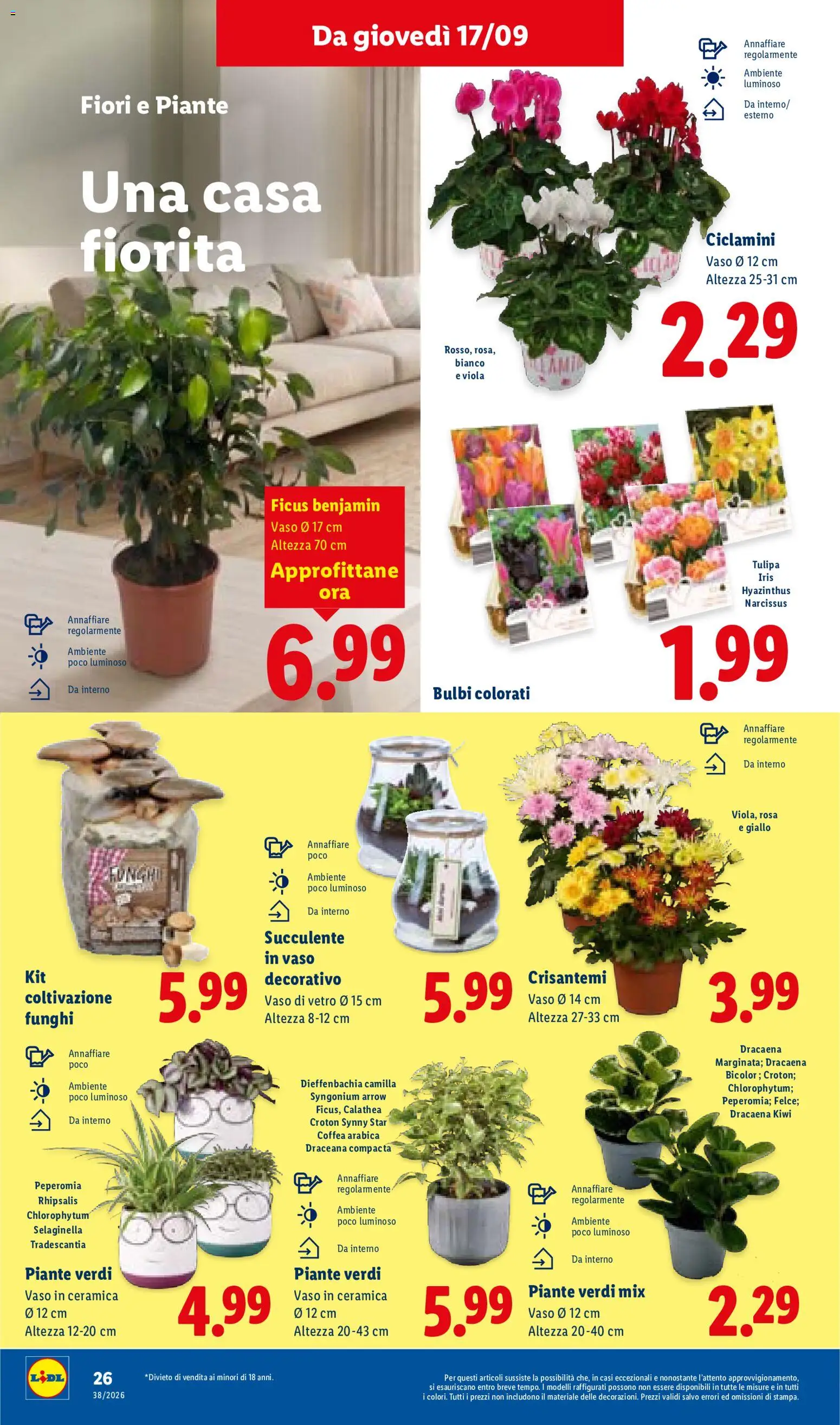 Volantino Lidl del 17/09/2026 | Pagina: 32