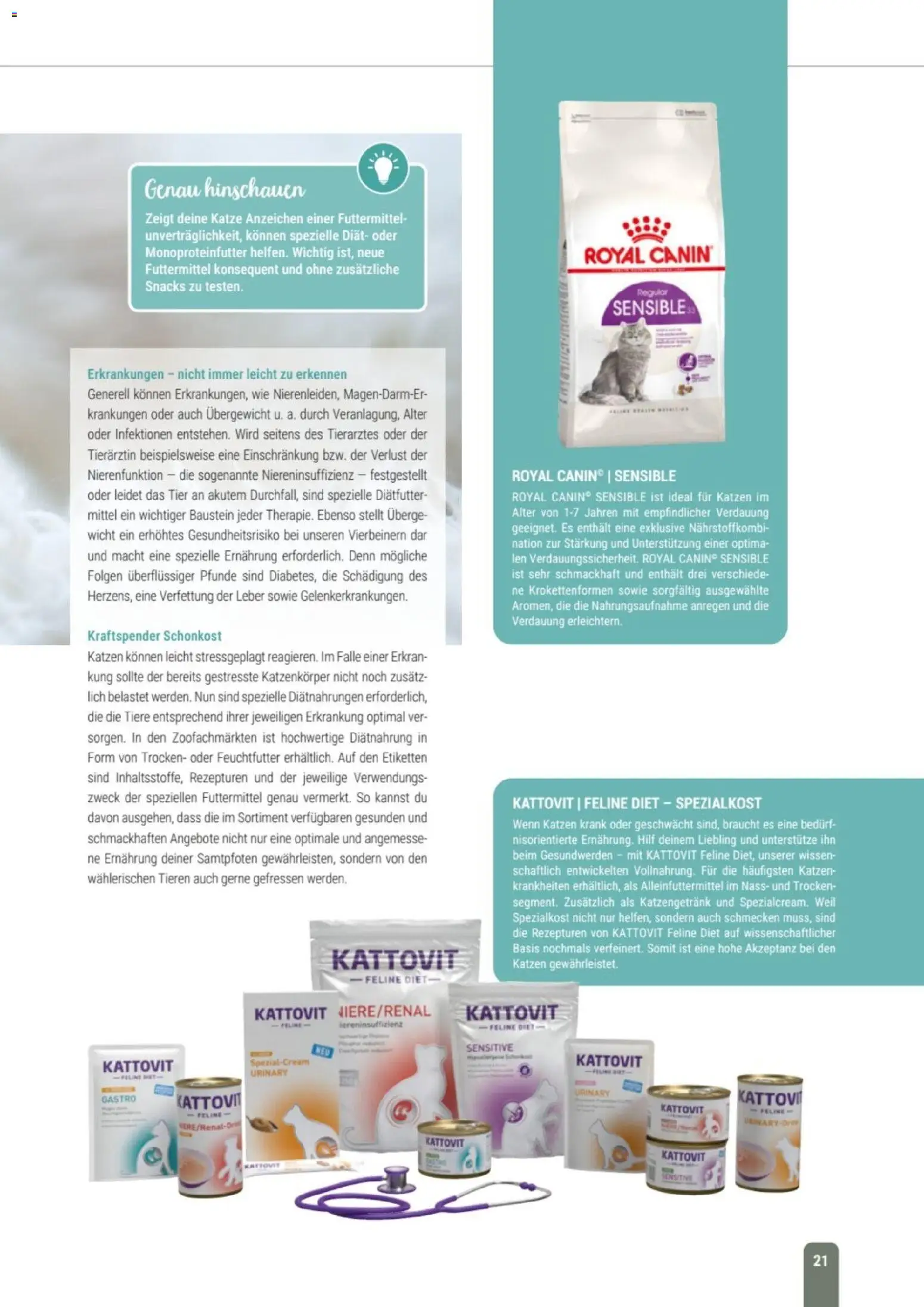 zookauf Themenkatalog Katze – gültig ab 01.10.2026 | Seite: 21