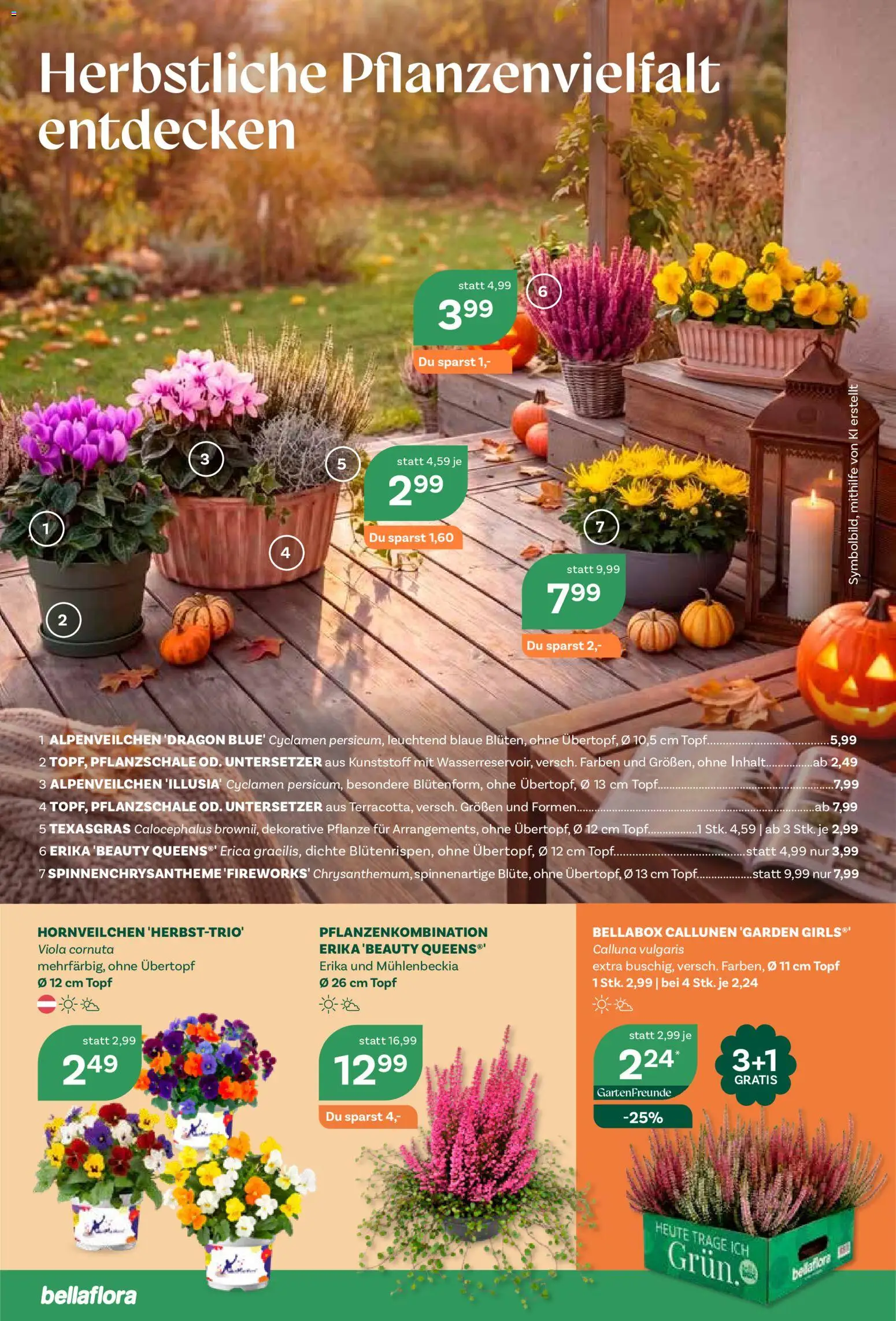 bellaflora Flugblatt gültig ab 08.10.2026 | Seite: 2