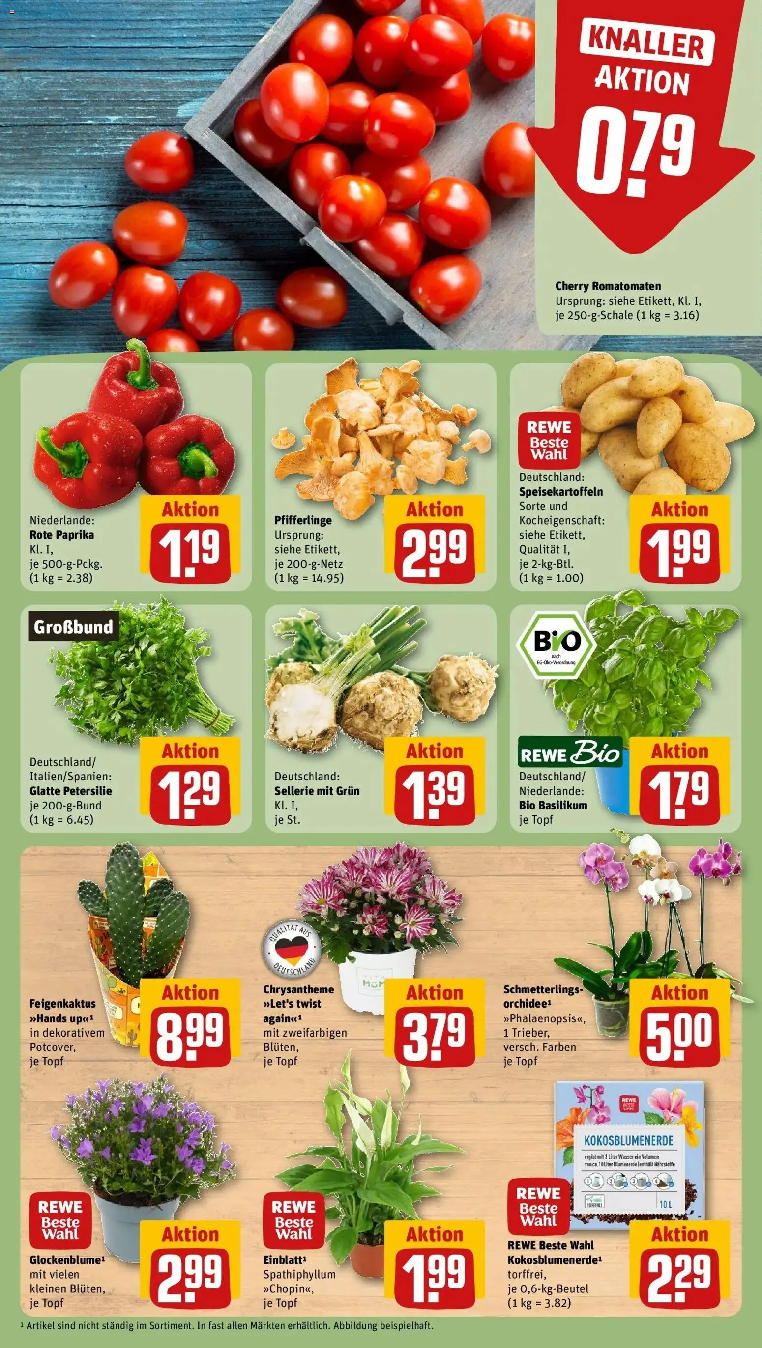 REWE Prospekt ab 10.08.2026 zum Blättern » Angebote | Seite: 5 | Produkte: Blumenerde, Wasser, Pfifferlinge, Petersilie