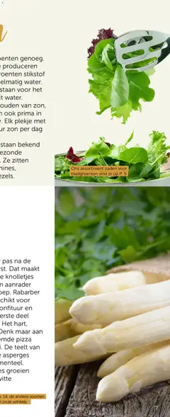 Aveve Groente- en kruidengids - Voorbeeld van een folder van Aveve, geldig van 23/02/2026 | Pagina: 13 | Producten: Pizza, Asperges