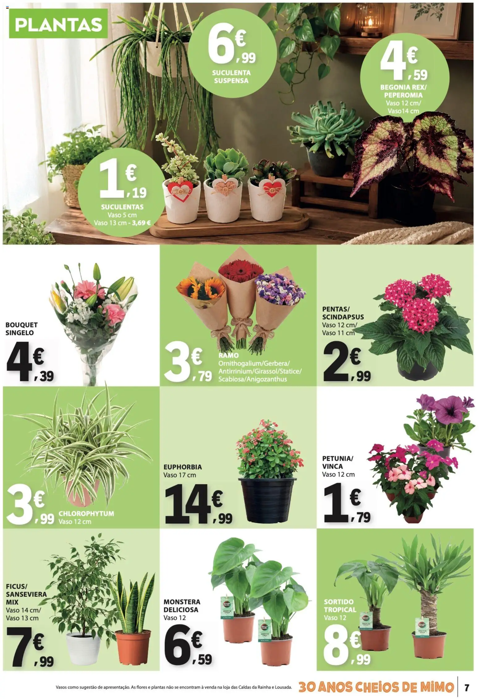 E.Leclerc folheto Não Alimentar │ válido de 04.06.2026 | Página: 7 | Produtos: Flores, Vaso