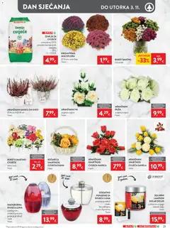 Spar Katalog - Pregled kataloga iz trgovine Spar, vrijedi od 21.10.2026 | Stranica: 35 | Proizvodi: Cvijeće, Zemlja, Lampion, Buket