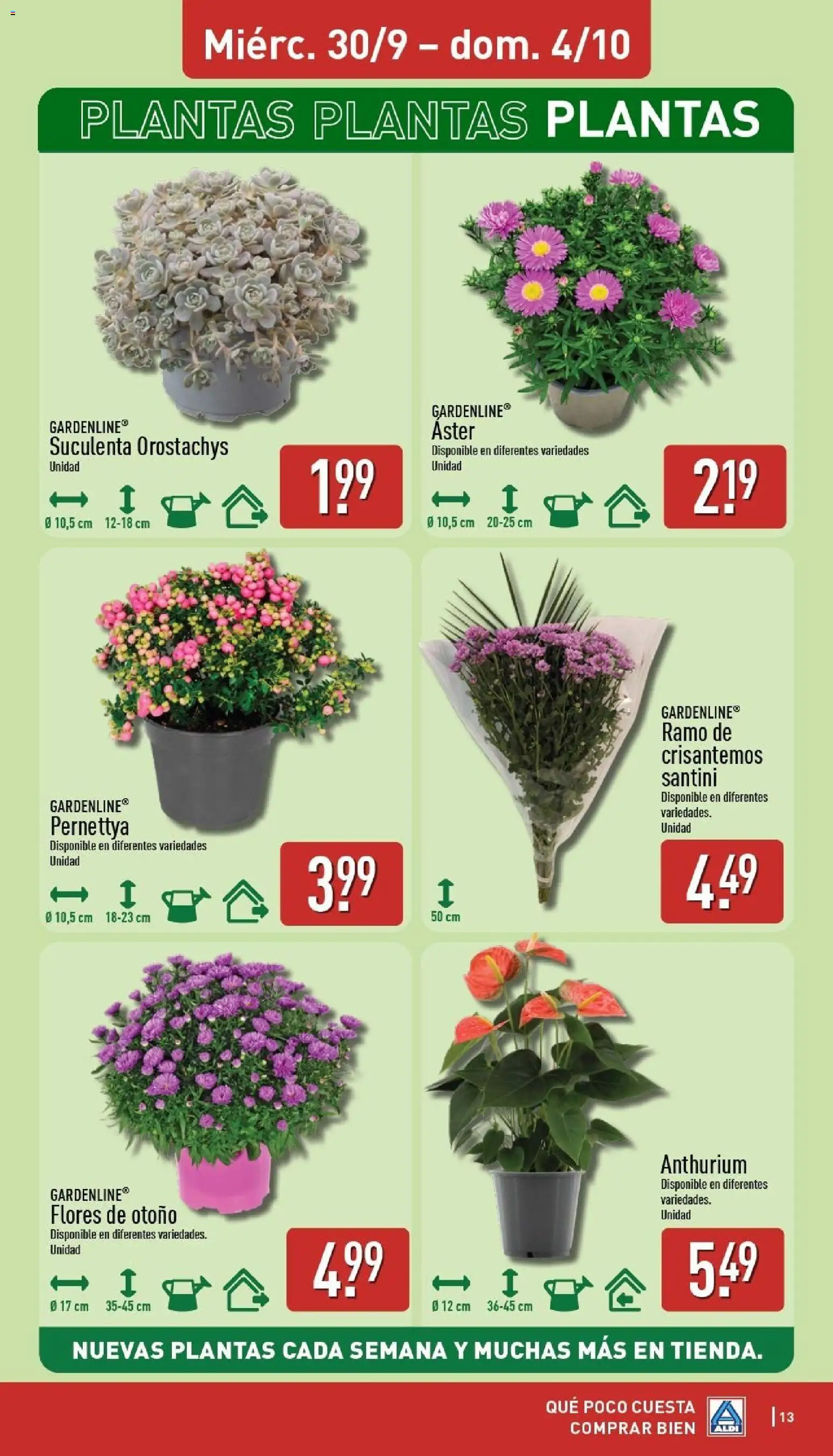 Aldi folleto Baleares │ válido desde el 28/09/2026 | Página: 13