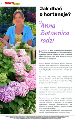 Pogląd oferty "Brico Marché gazetka - Wiosna" - ważna od 04.03.2026 | Strona: 66 | Produkty: Ziemia