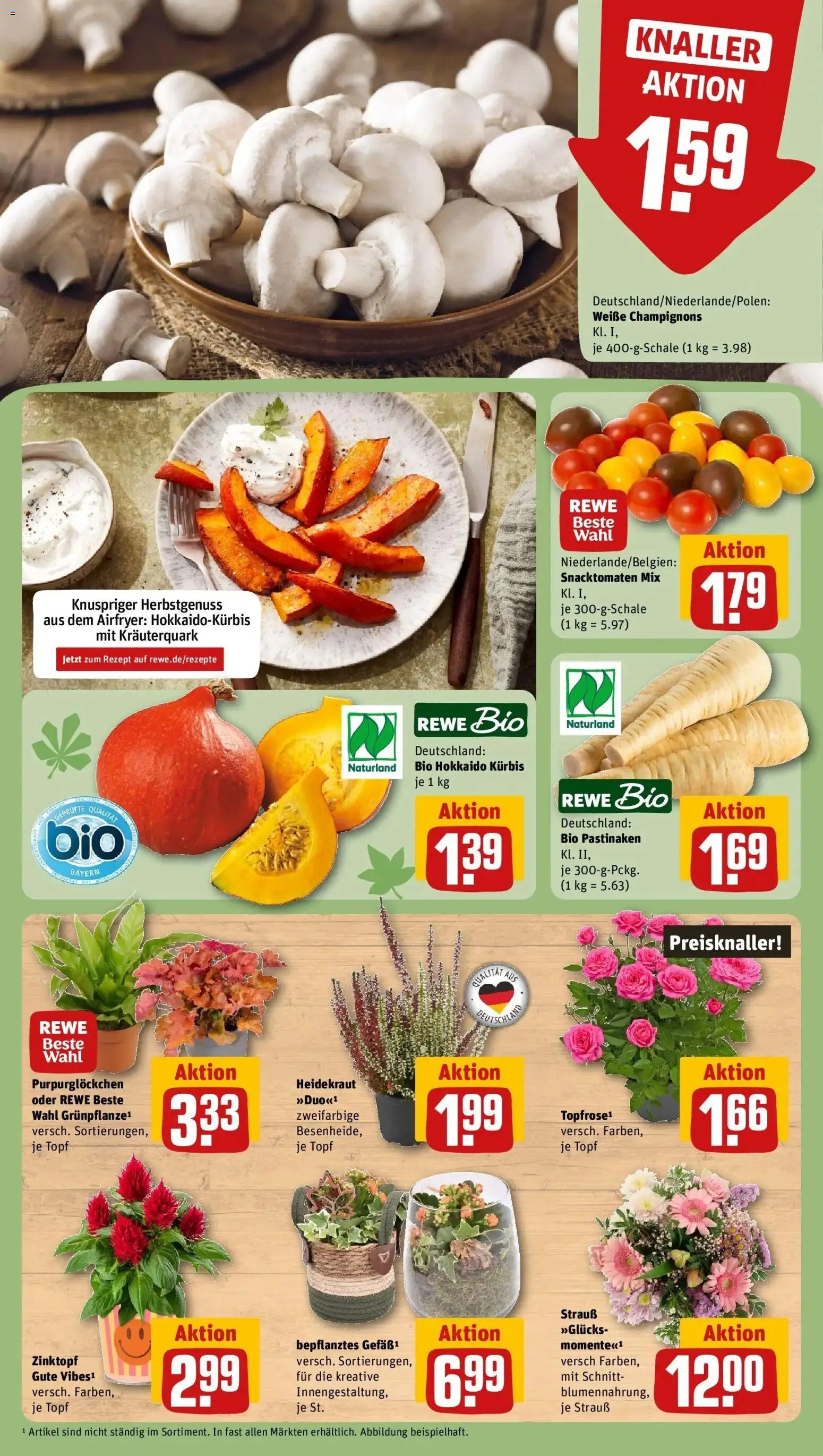 REWE Prospekt ab 28.09.2026 zum Blättern » Angebote | Seite: 13 | Produkte: Champignons, Kürbis