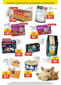 AlphaZoo akciós újság - amely érvényes a következő dátumtól: 11.05.2026 | Oldal: 7 | Termékek: Macskaeledel, Whiskas, Hal