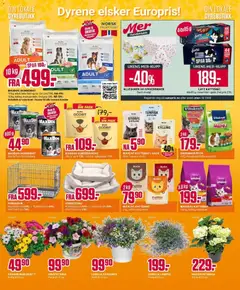 Forhåndsvisning av Europris kundeavis gyldig fra 11.05.2026 | Side: 12 | Produkter: Kylling, Ris, Hundemat, Saus