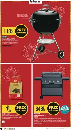 Bricorama - Prévisualisation de Bricorama catalogue valide à partir de 06.05.2026 | Page: 4 | Produits: Charbon De Bois, Barbecue, Thermomètre