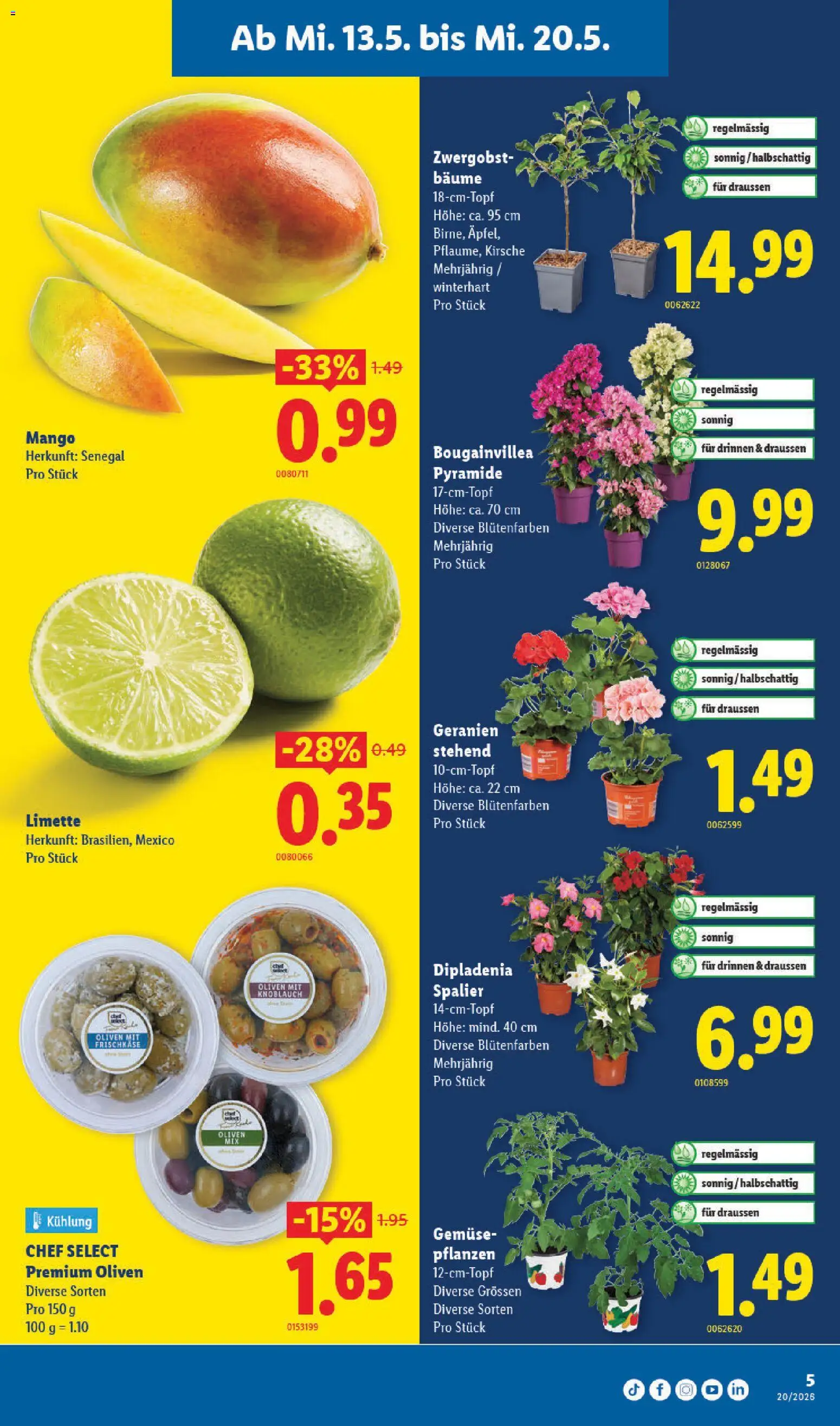 Lidl aktionen – gültig ab 13.05.2026 | Seite: 5