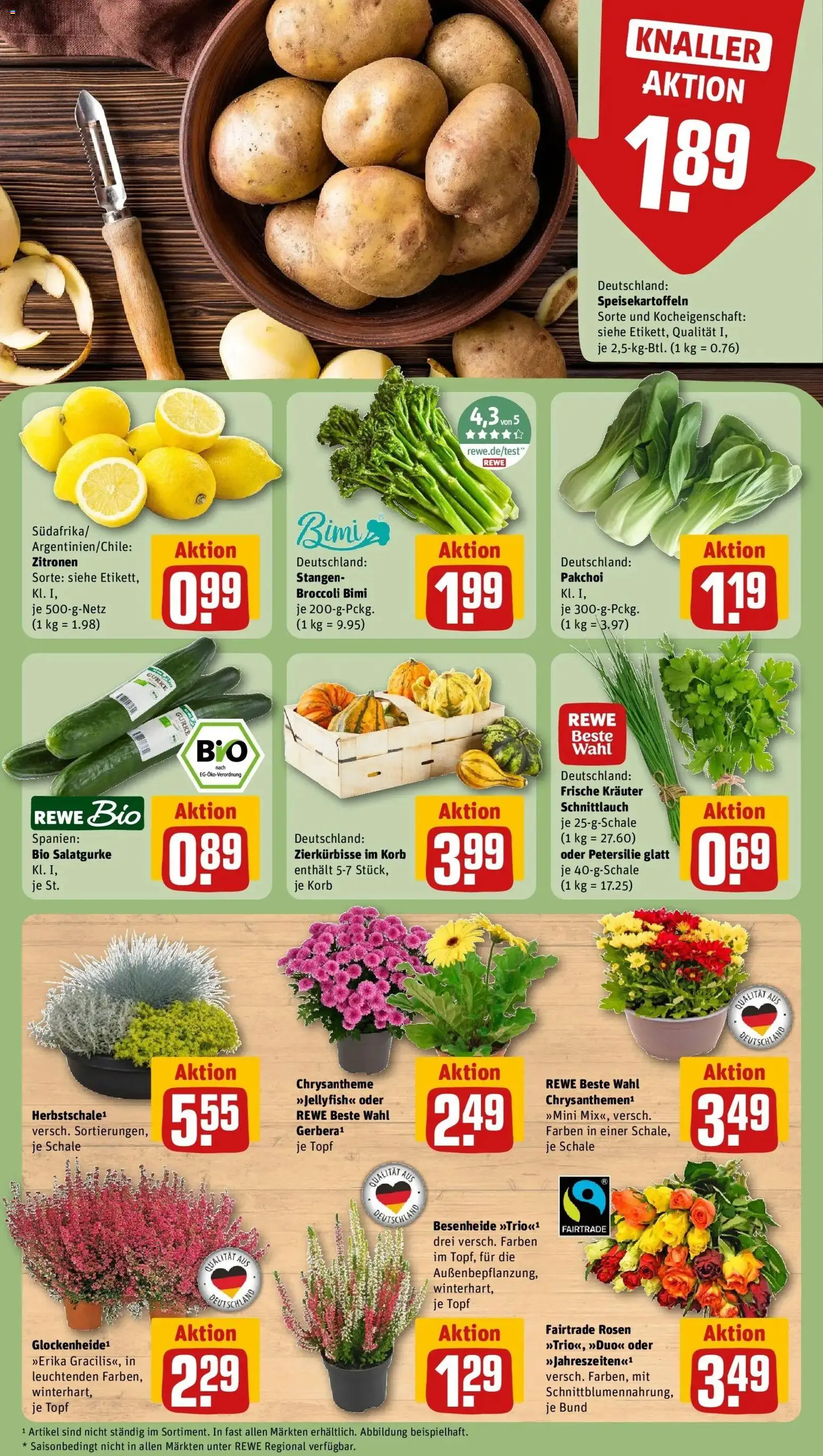 REWE Prospekt ab 21.09.2026 zum Blättern » Angebote | Seite: 13 | Produkte: Korb, Petersilie, Zitronen