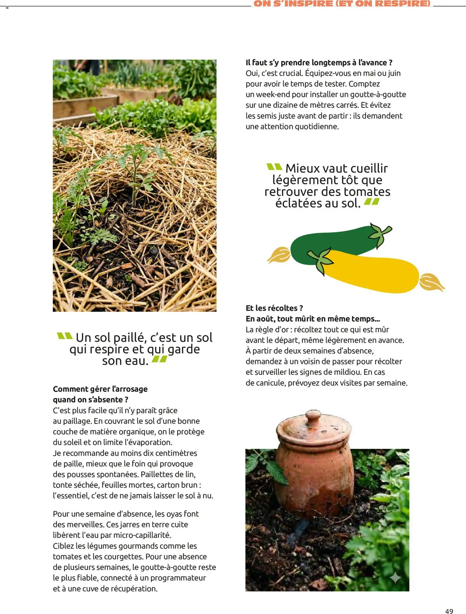 {H1} | Page: 49 | Produits: Règle, Tomates