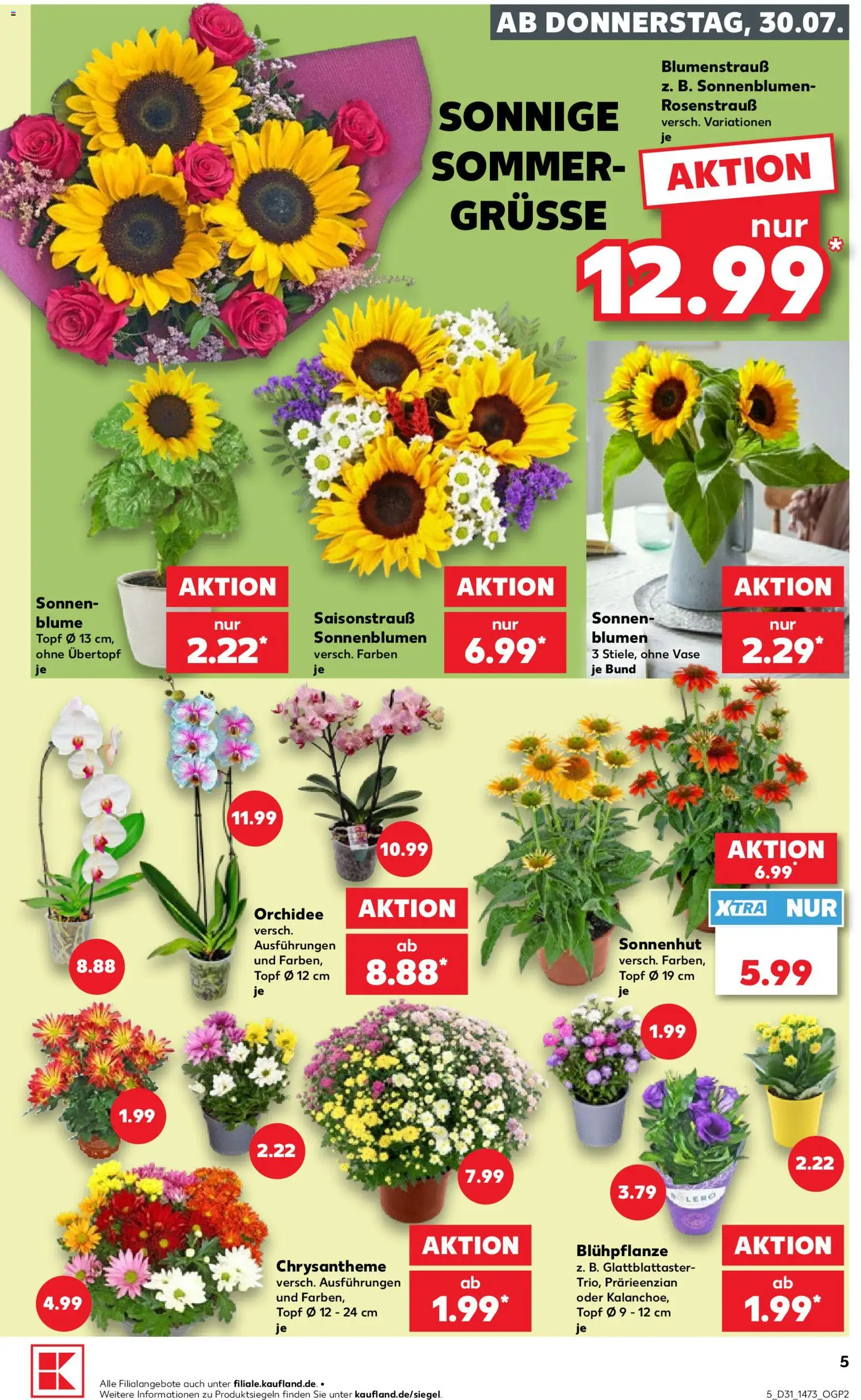 Kaufland Prospekt Rostock – gültig ab 30.07.2026 | Seite: 5 | Produkte: Orchidee, Blumen, Vase