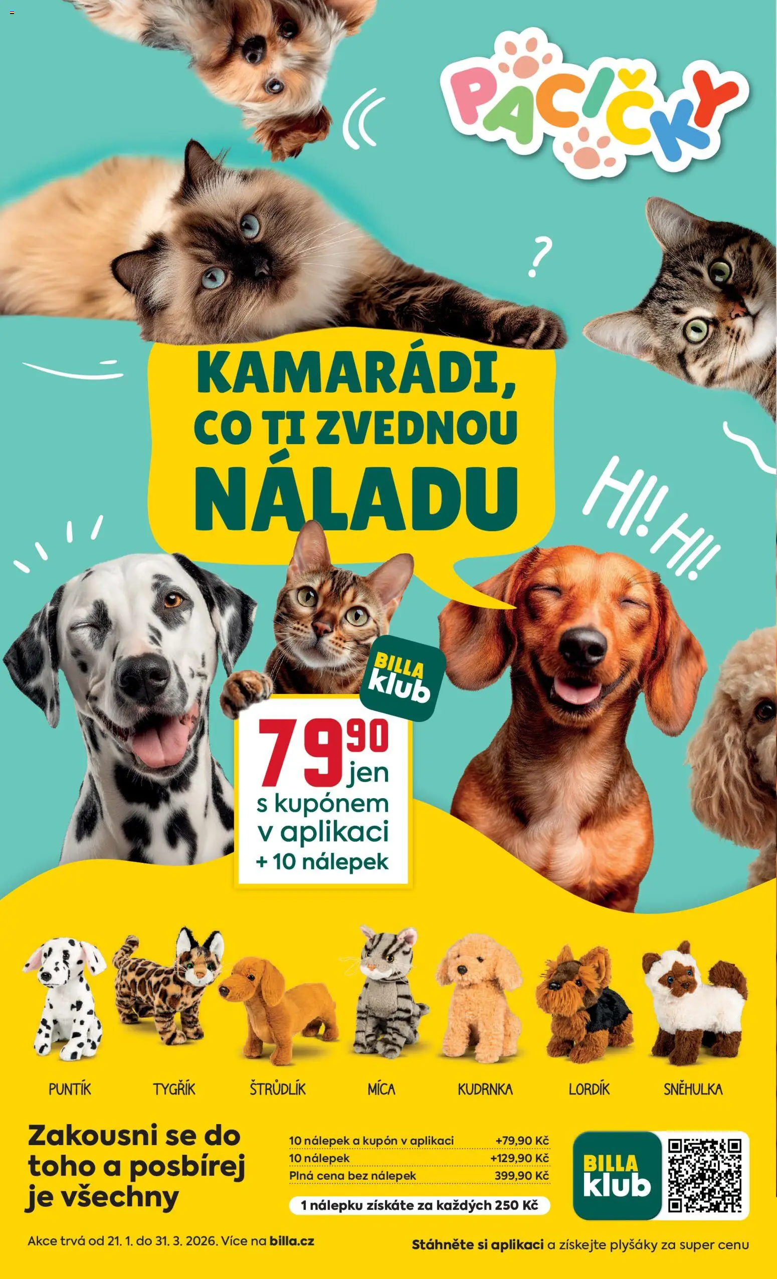 Billa Velký leták od 04.03.2026 | Strana: 24