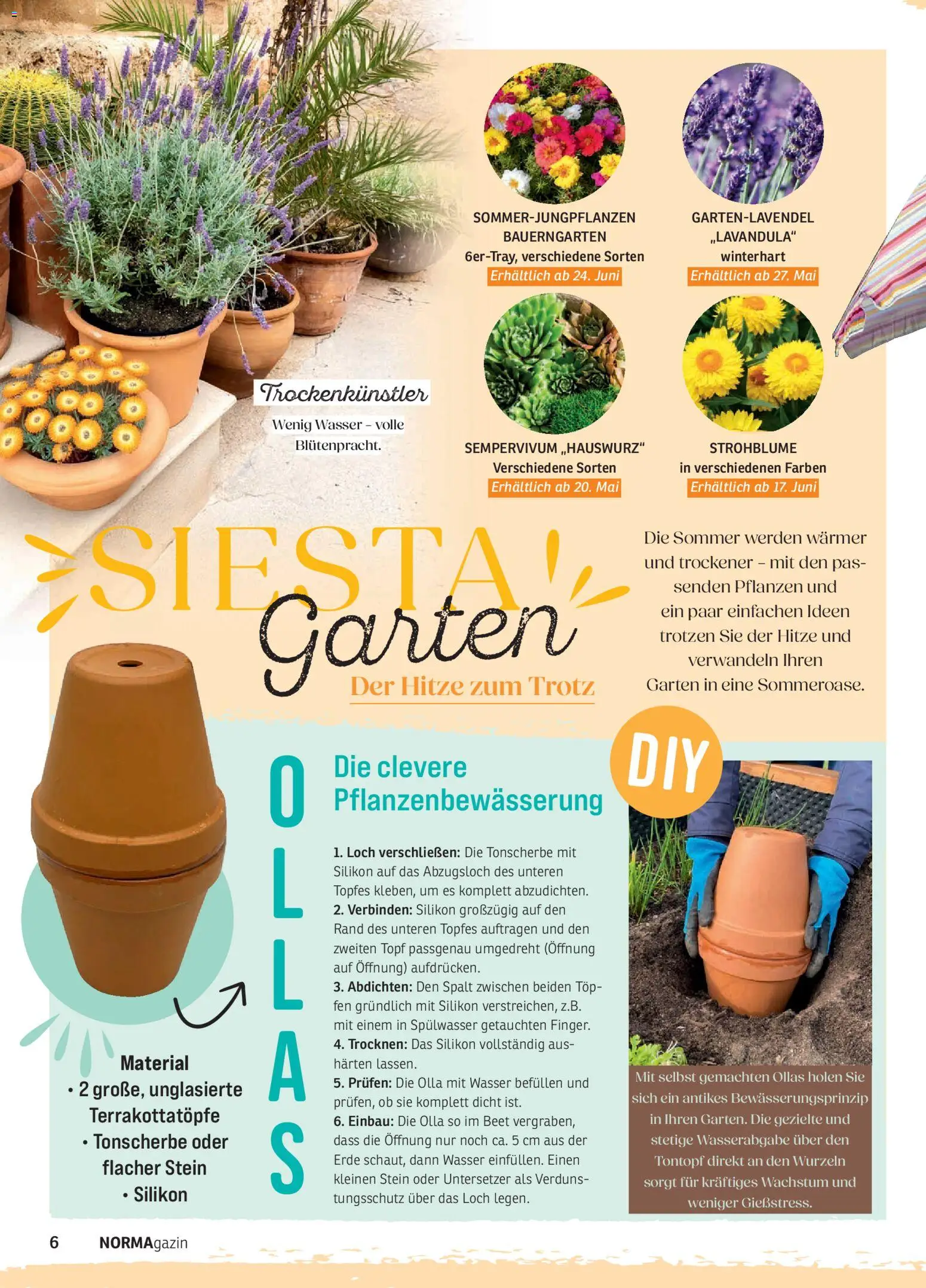 Norma NORMAgazin Mai/Juni 2026 – gültig ab 01.05.2026 | Seite: 6 | Produkte: Top, Wasser