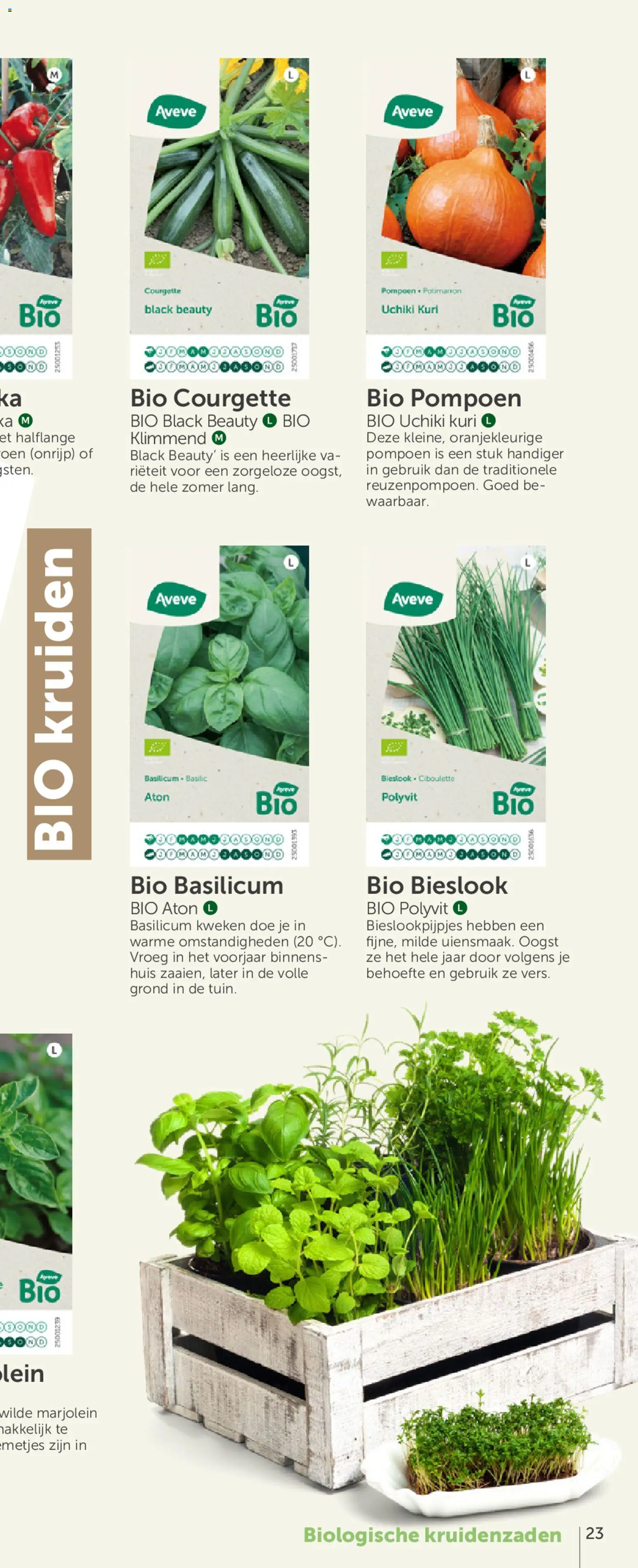 {H1} | Pagina: 45 | Producten: Pompoen, Courgette