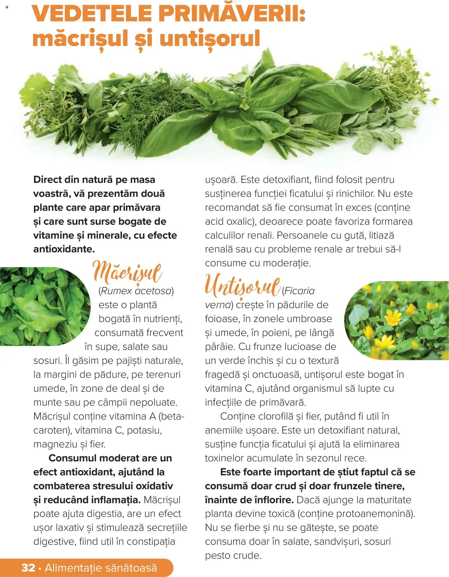 Noul catalog Dr.Max – valabil de la 01.03.2026 | Pagină: 32 | Produse: Șal, Masă