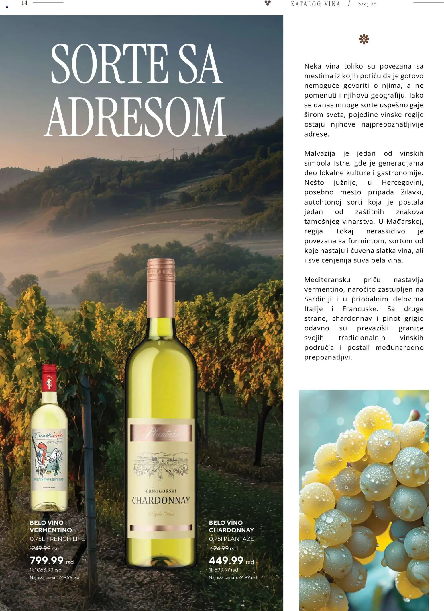 Idea katalog - važi od 26.10.2026 | Strana: 14 | Proizvode: Chardonnay, Pinot grigio, Belo vino, Vino