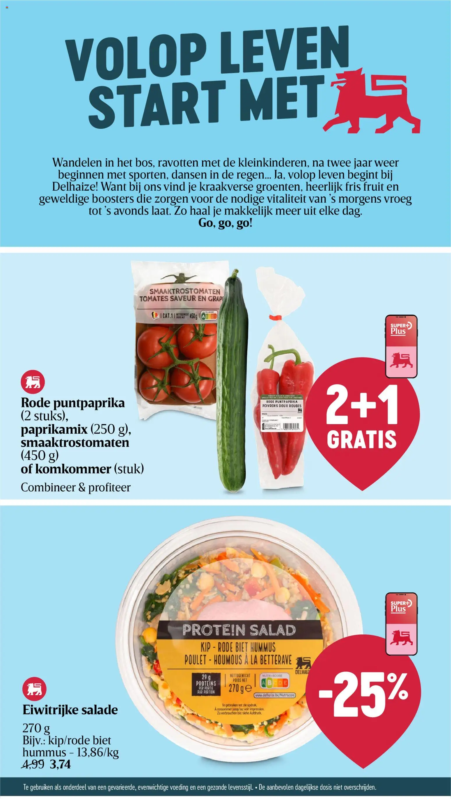 {H1} | Pagina: 7 | Producten: Salade, La, Fruit, Kip