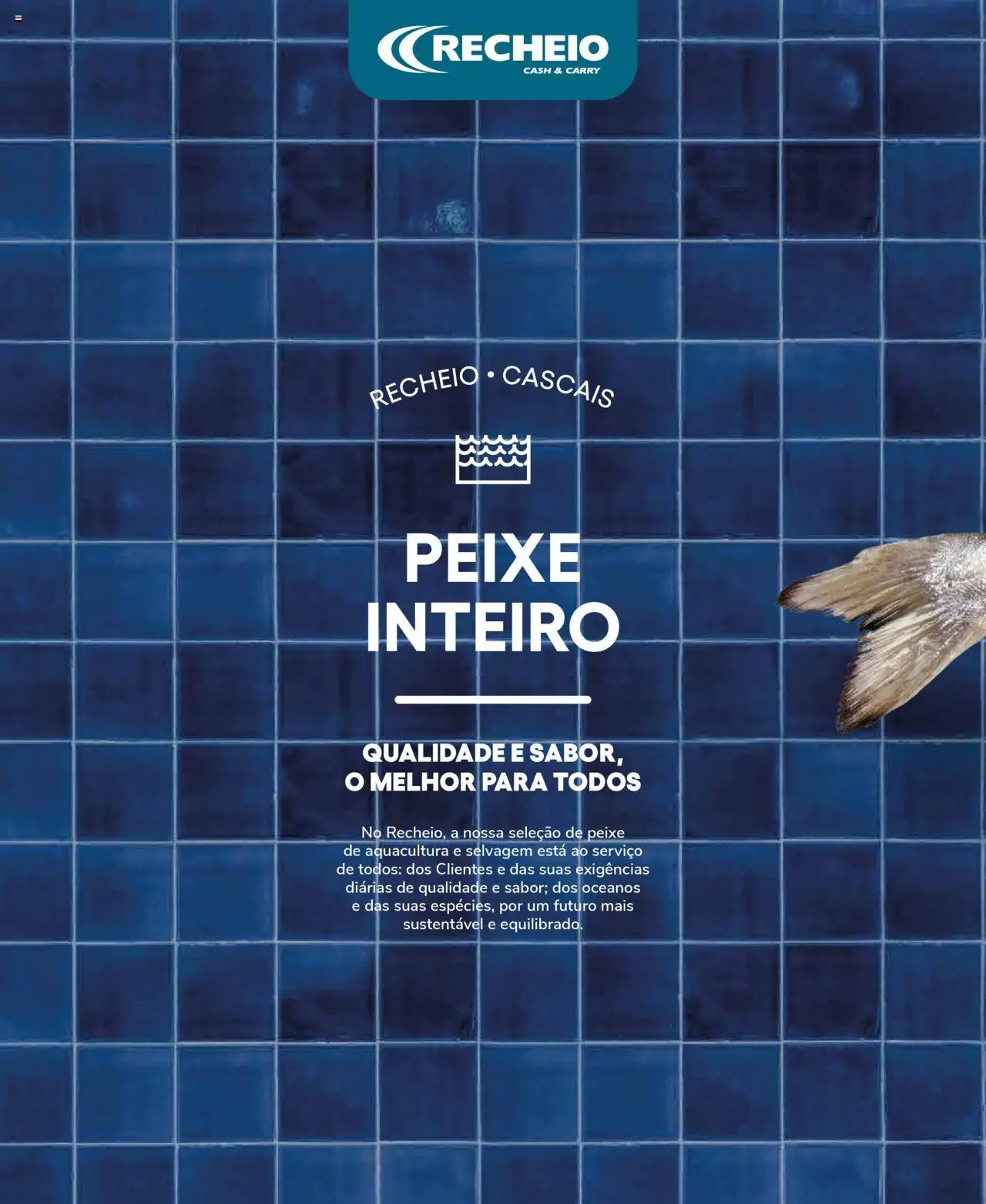 Recheio Peixaria │ válido de 19/09/2024 | Página: 6 | Produtos: Peixe