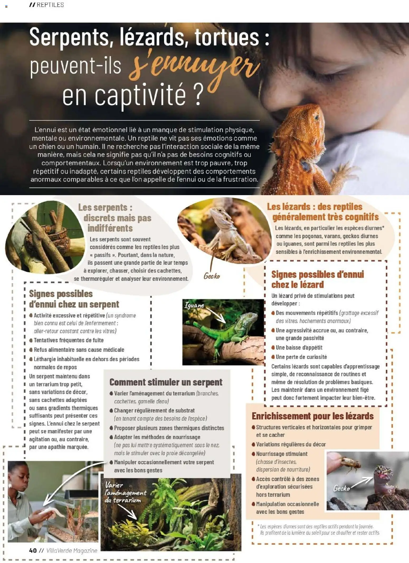 {H1} | Page: 40 | Produits: Mais, Magazine