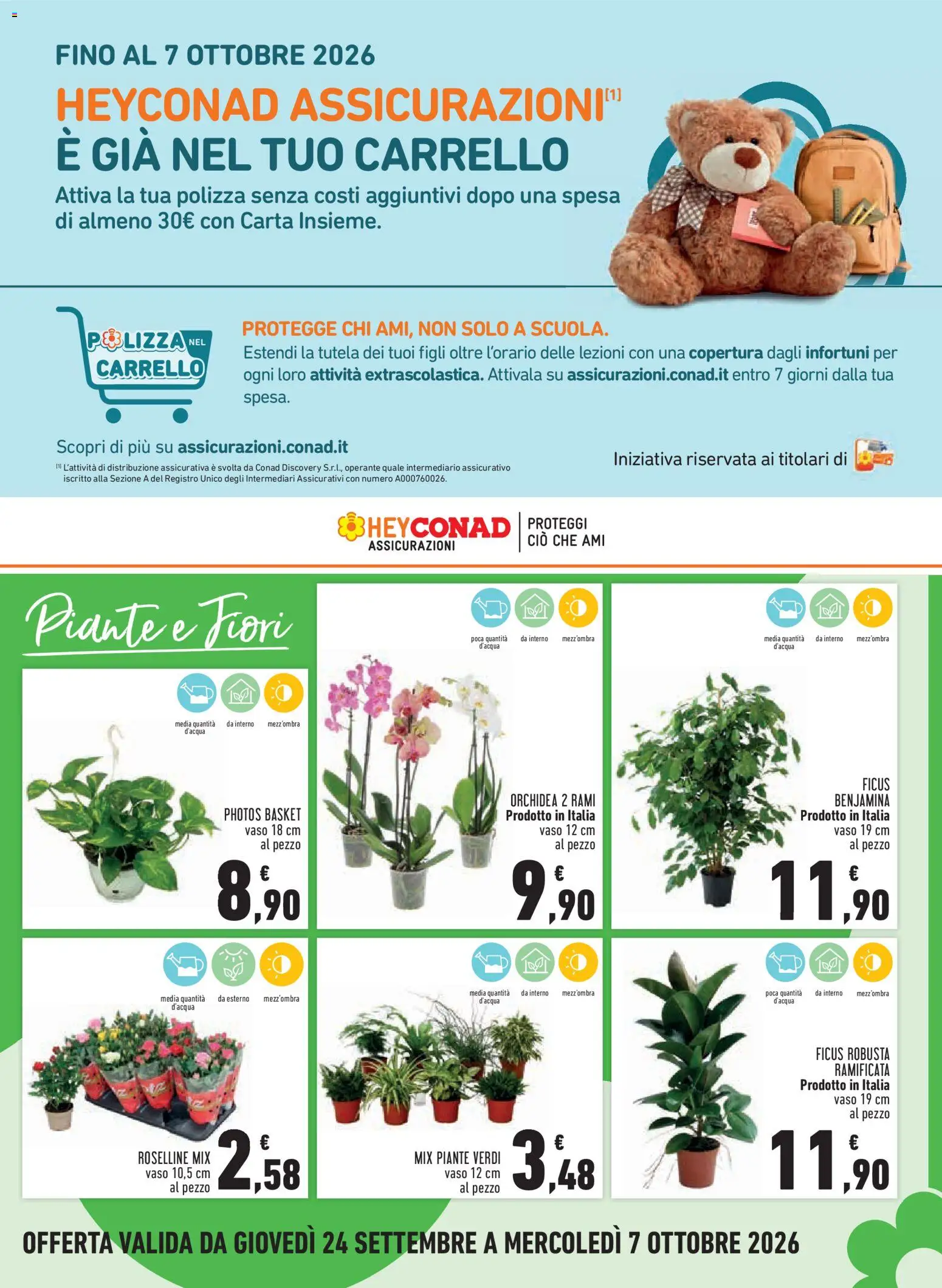 Volantino Conad del 24/09/2026 | Pagina: 15 | Prodotti: Carrello, Fiori, Orchidea, Vaso