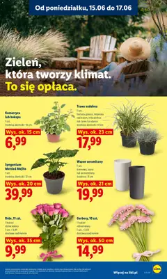 Pogląd oferty "Wazon ceramiczny, 1 szt. kremowy, szary lub jasnozielony średnica: 11 cm" - ważna od 15.06.2026 | Strona: 97