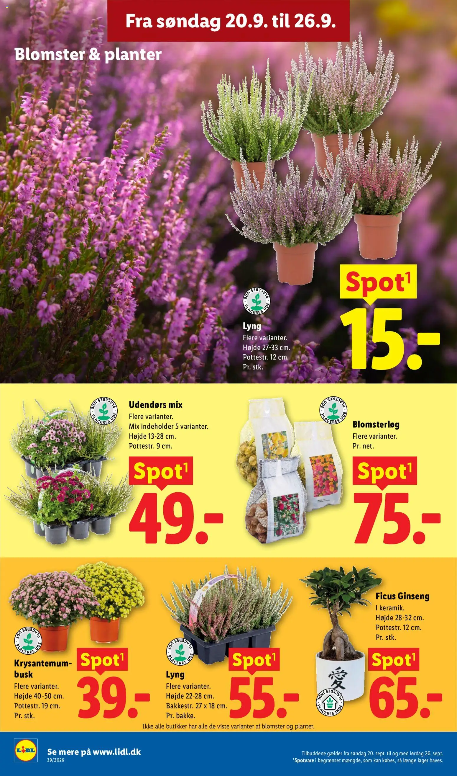 Lidl tilbudsavis – gyldig fra 24/09/2026 | Side: 42 | Produkter: Søm