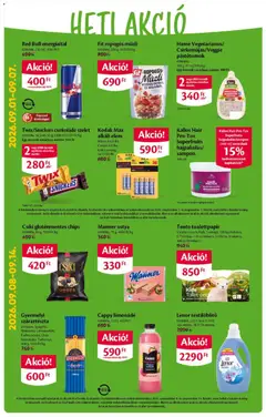 Ecofamily akciós újság - amely érvényes a következő dátumtól: 2026.09.03. | Oldal: 2