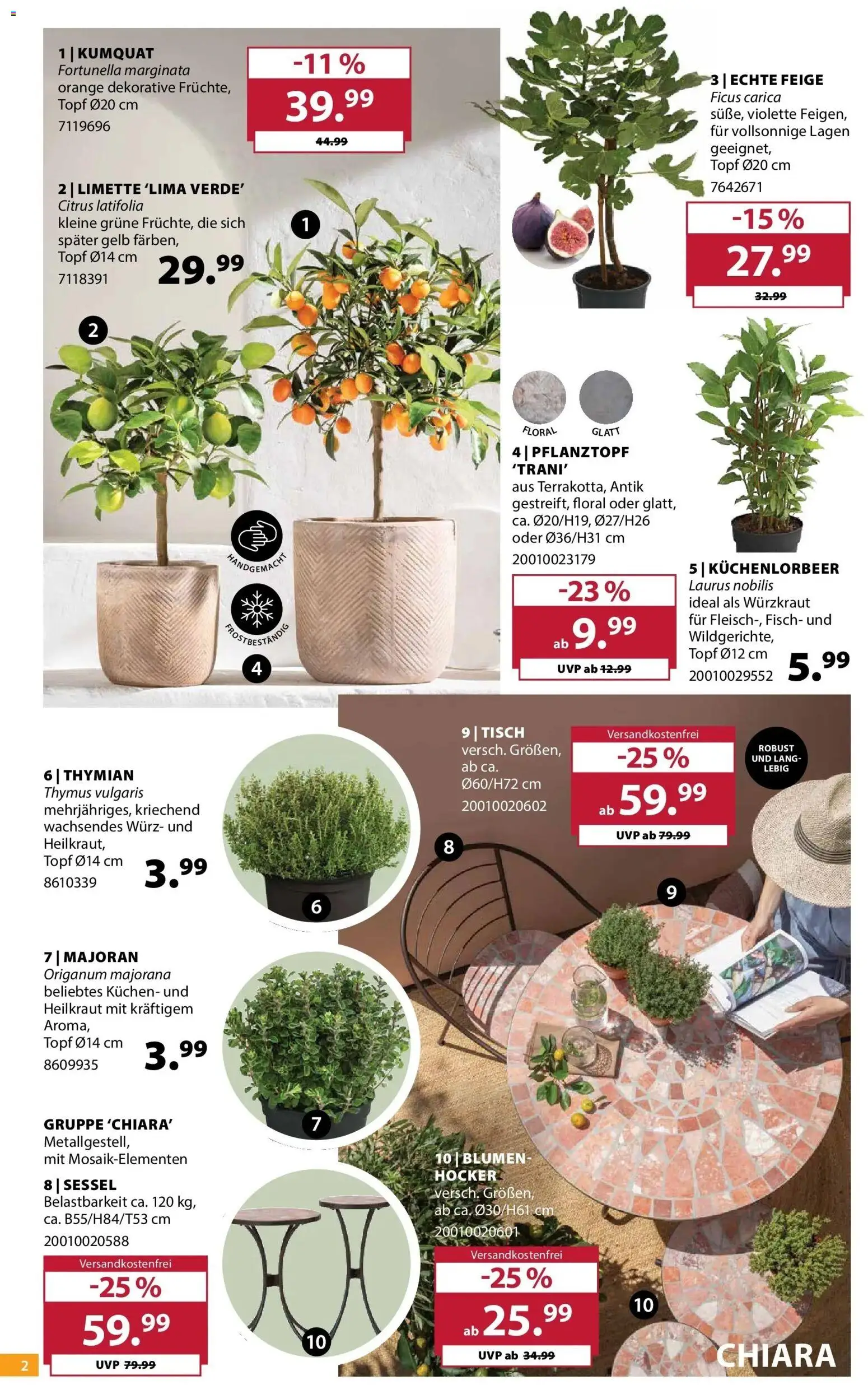 Dehner Garten & Zoo – gültig ab 19.05.2026 | Seite: 2 | Produkte: Tisch, Fisch, Limette, Kuchen