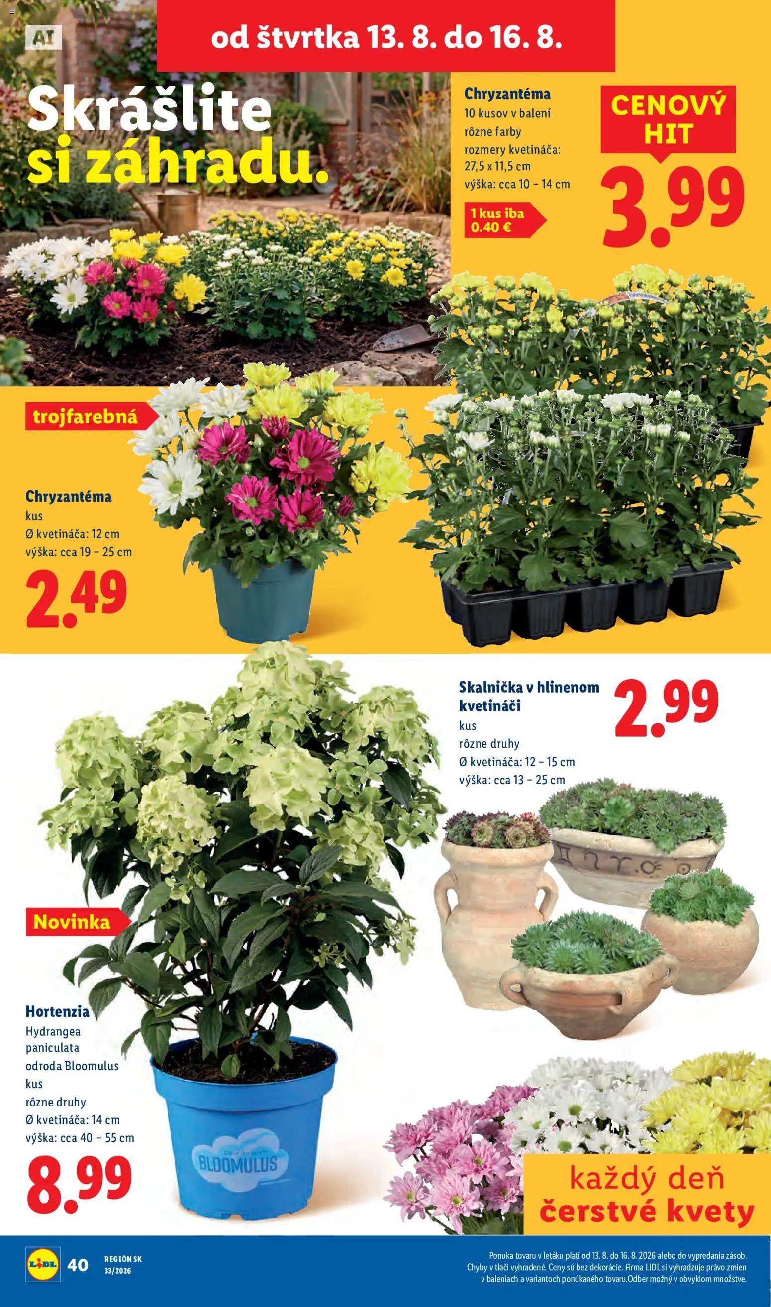 Nové Lidl akcie – leták je platný od 10.08.2026 | Strana: 82 | Produkty: Kvety