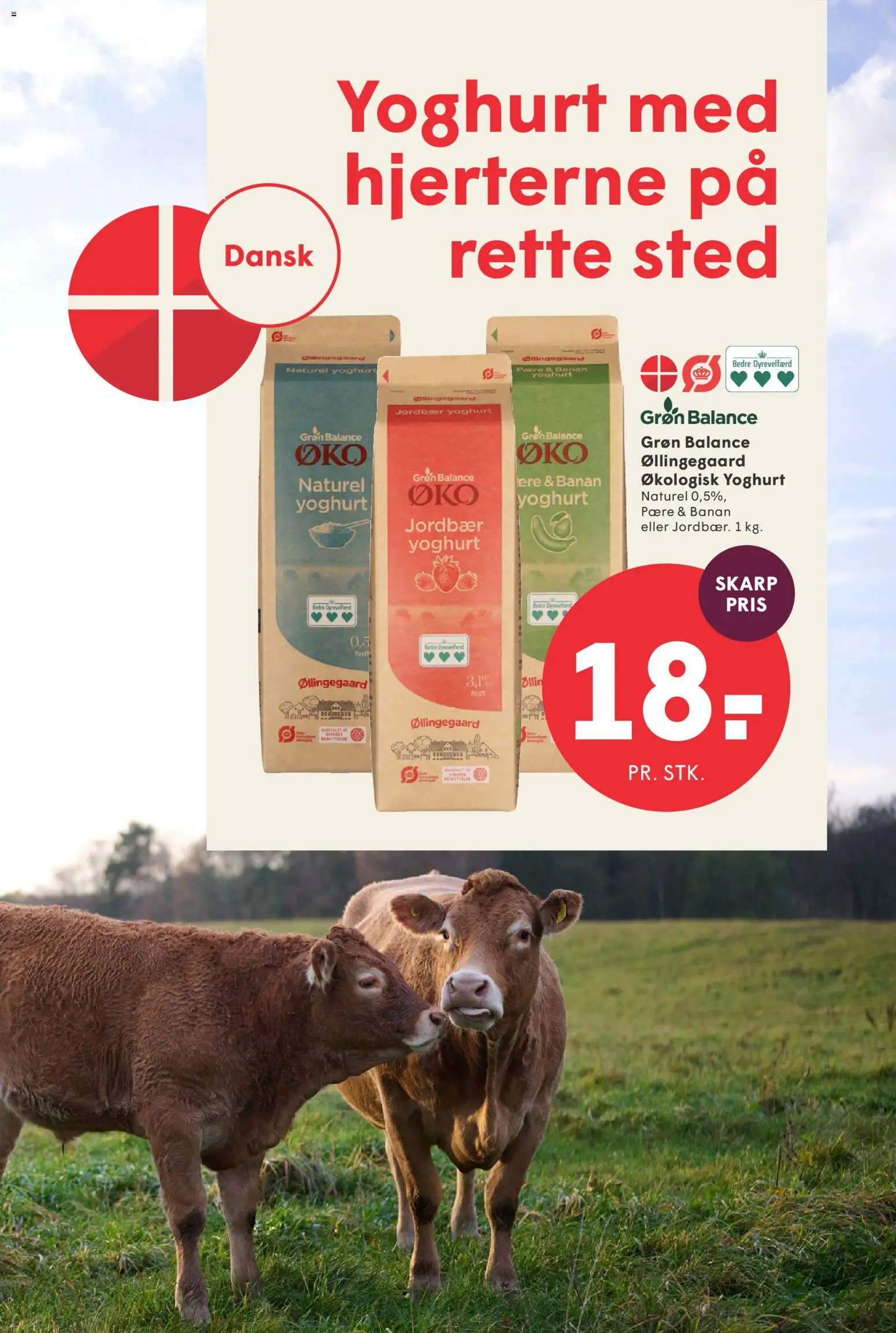 Spar tilbudsavis – gyldig fra 16/10/2026 | Side: 5 | Produkter: Yoghurt, Jordbær