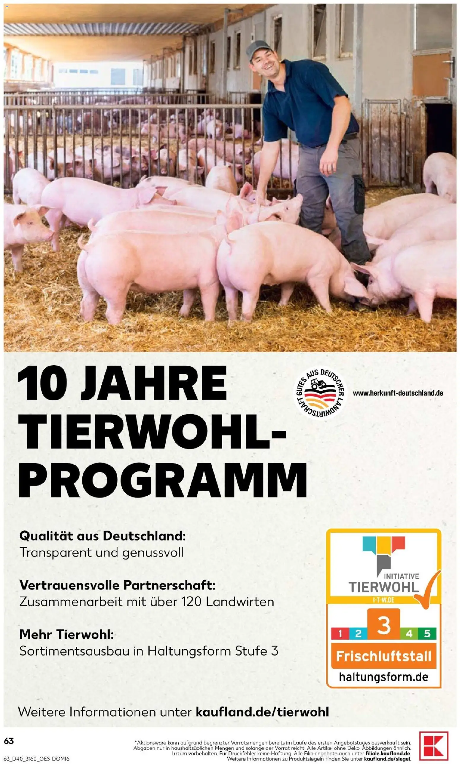 Kaufland Prospekt Potsdam – gültig ab 01.10.2026 | Seite: 67
