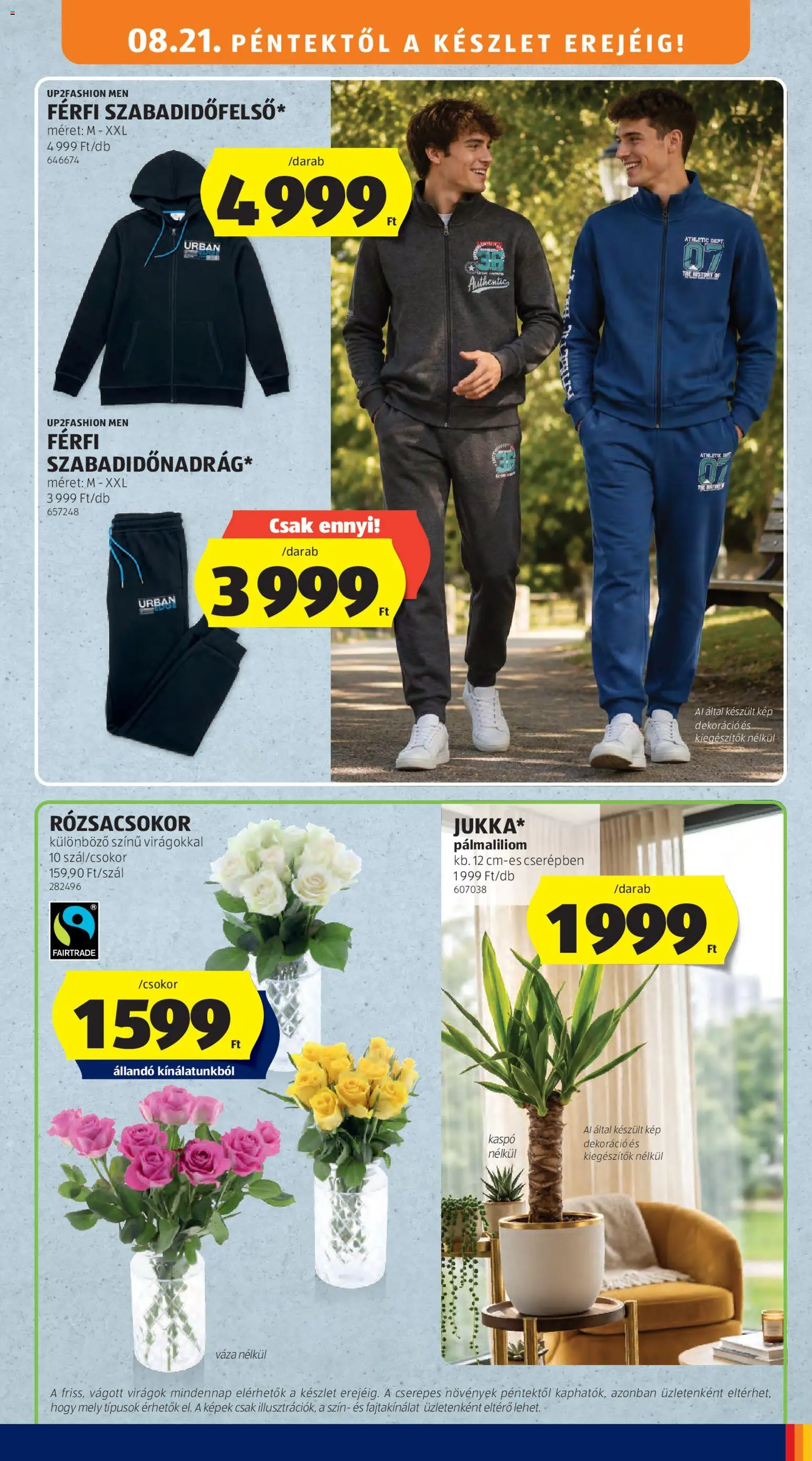 Aldi akciós ujság - amely érvényes a következő dátumtól: 2026.08.21. | Oldal: 41 | Termékek: Virágok, Rózsacsokor, Kaspó, Dekoráció