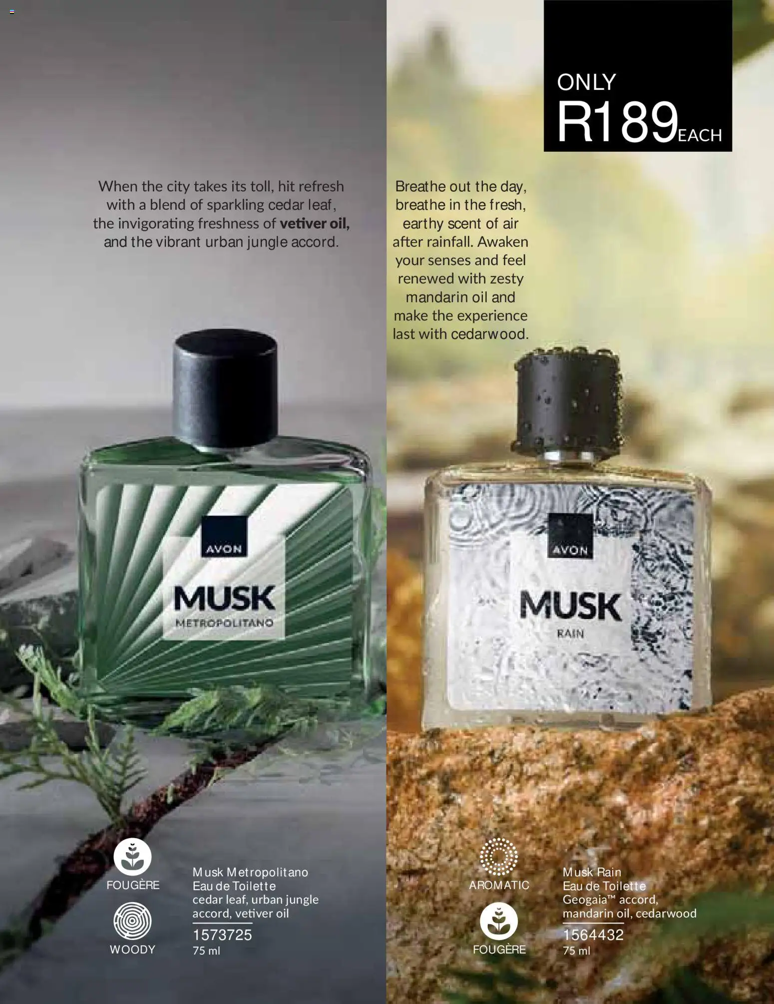 New Avon catalogue – valid from 01/09/2026 | Page: 81 | Products: Oil, Eau de toilette