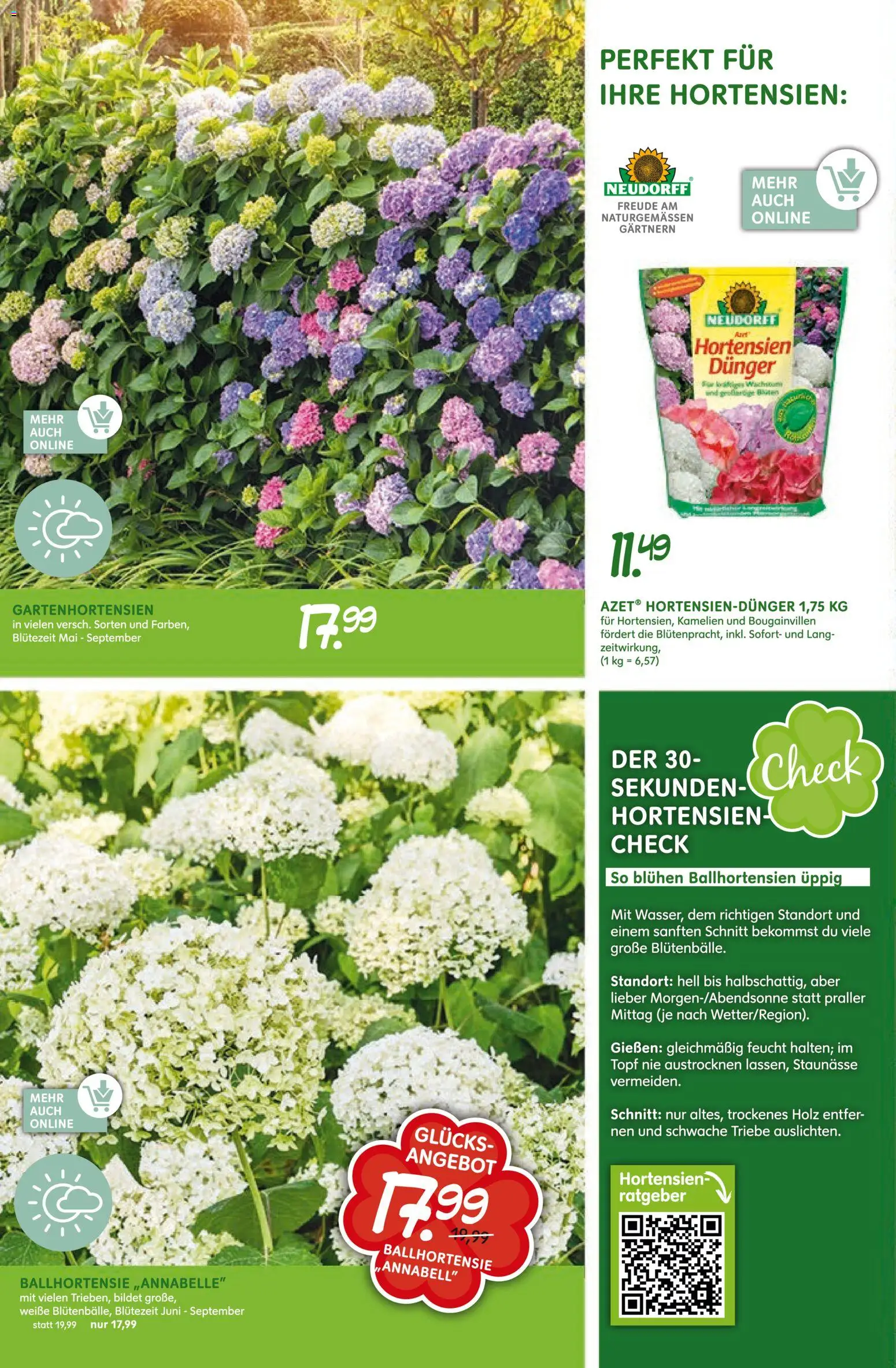 Blumen Risse Prospekt Blumenmarkt – gültig ab 28.05.2026 | Seite: 10