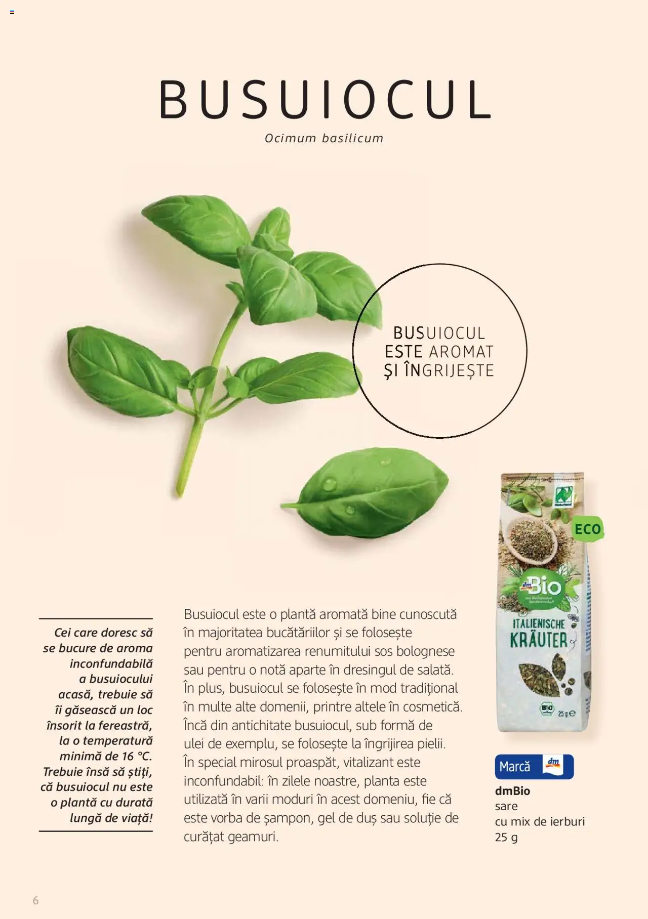 Noul catalog DM drogeriemarkt – valabil de la 01.01.2022 | Pagină: 6