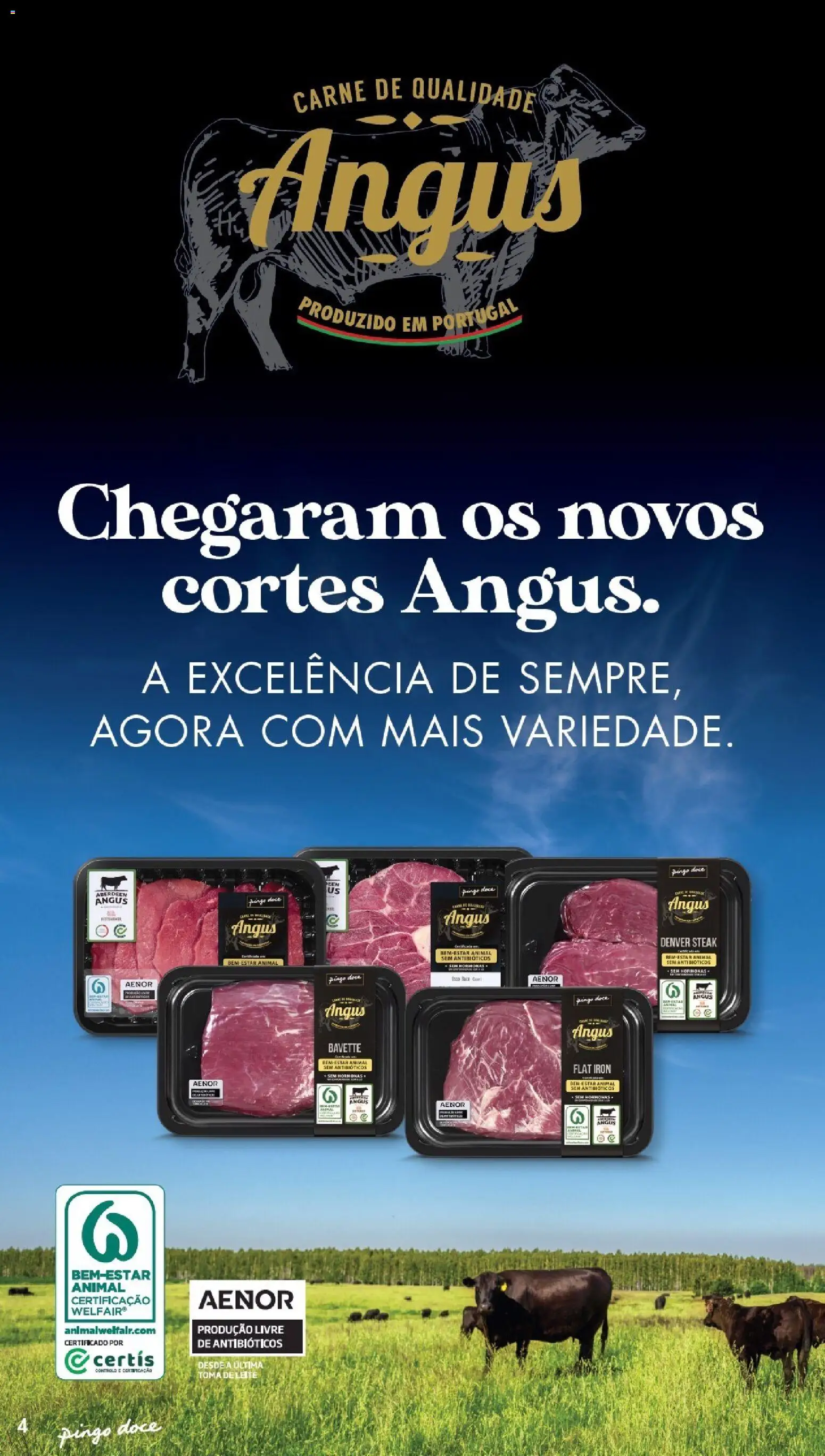 Pingo Doce folheto Poupe Este Fim de Semana │ válido de 02/10/2026 | Página: 4 | Produtos: Leite, Carne
