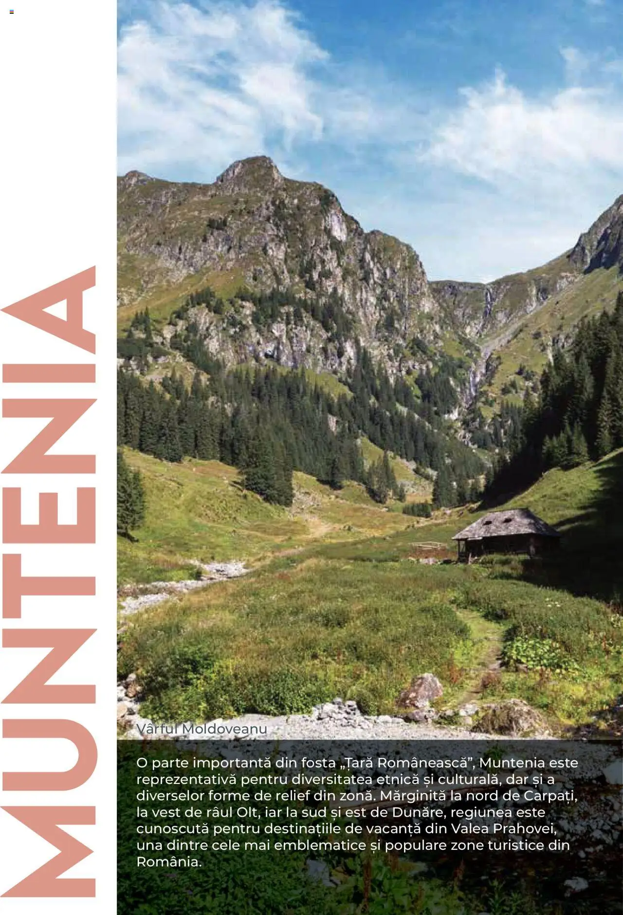 Noul catalog Metro – valabil de la 01.08.2025 | Pagină: 24
