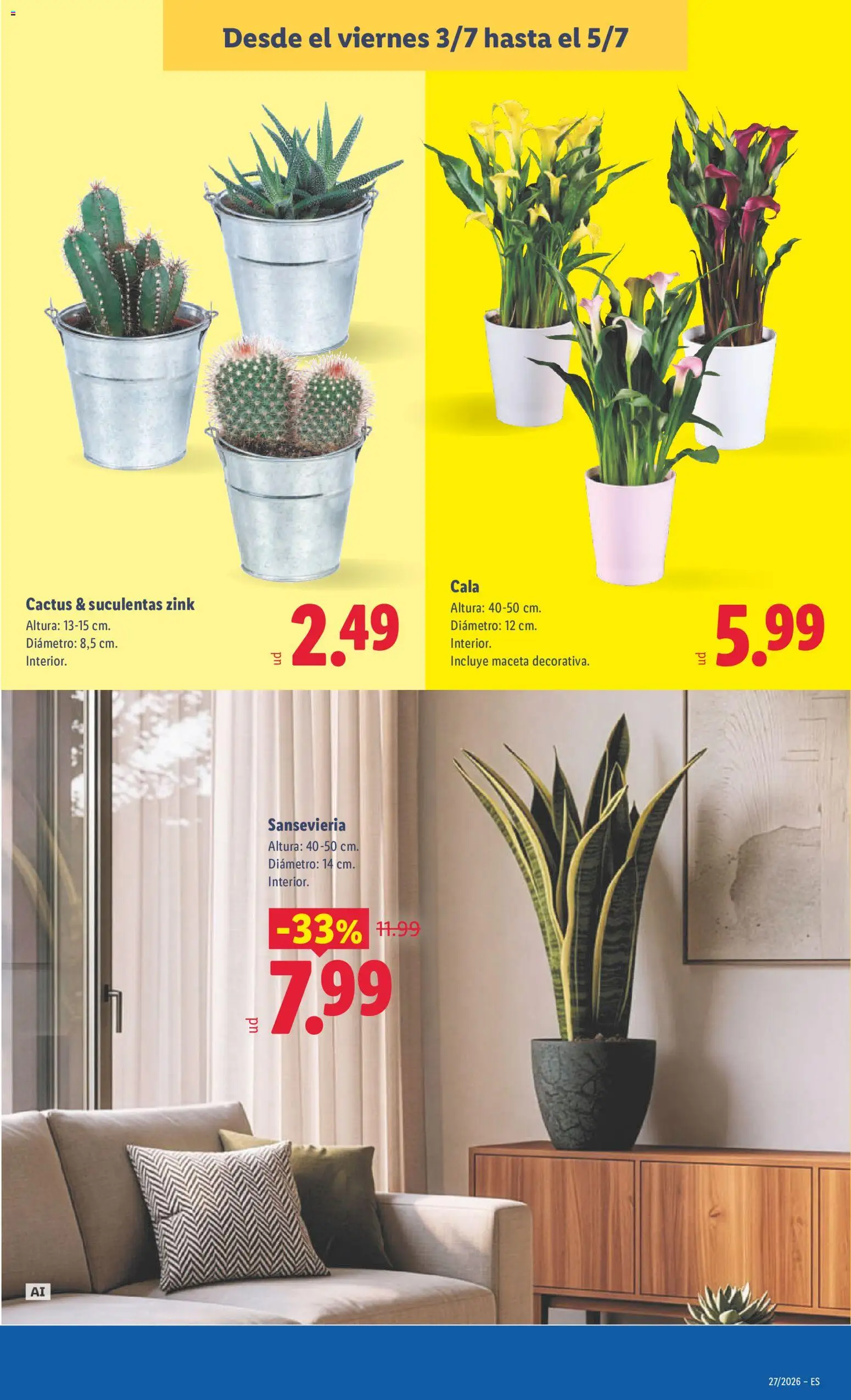 Lidl folleto │ válido desde el 29/06/2026 | Página: 45