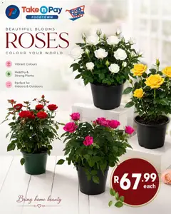 Take n Pay specials catalogue – valid from 25/08/2026