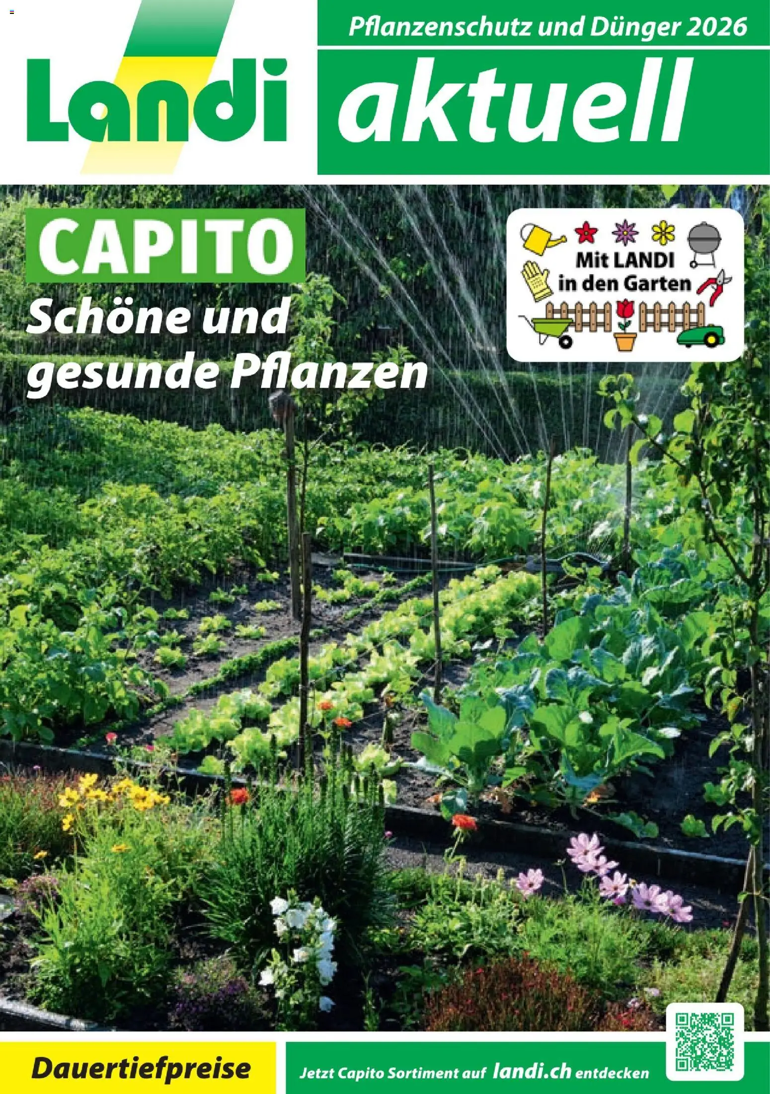 Landi Aktionen Capito | Angebote (28.01.2026 catalogue cover